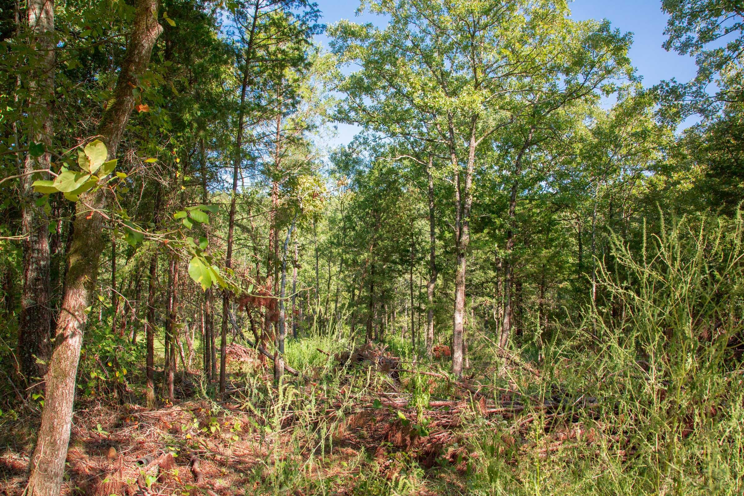Stone Creek Phase II Tract 268 photo 5