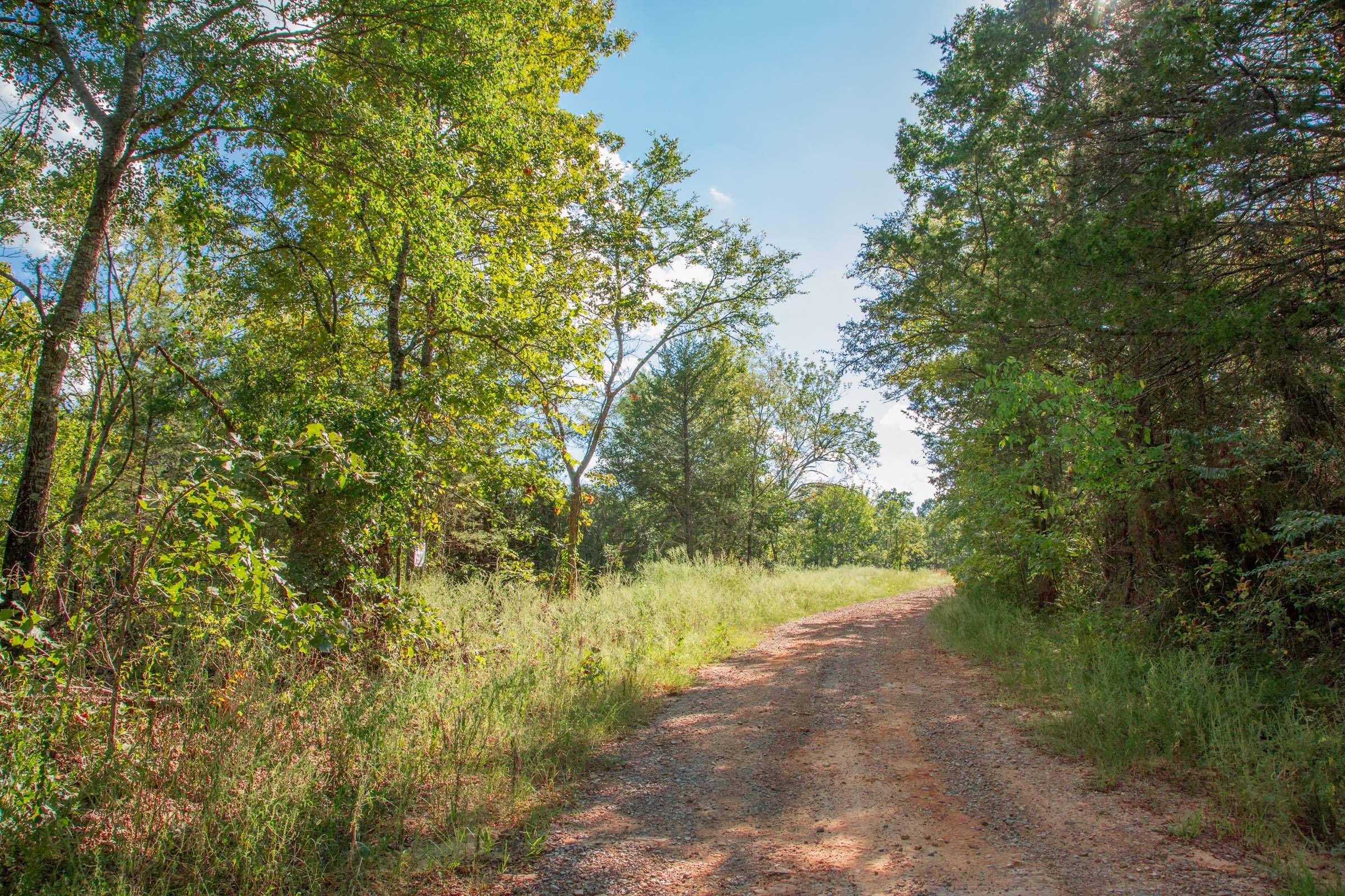 Stone Creek Phase II Tract 268 photo 6