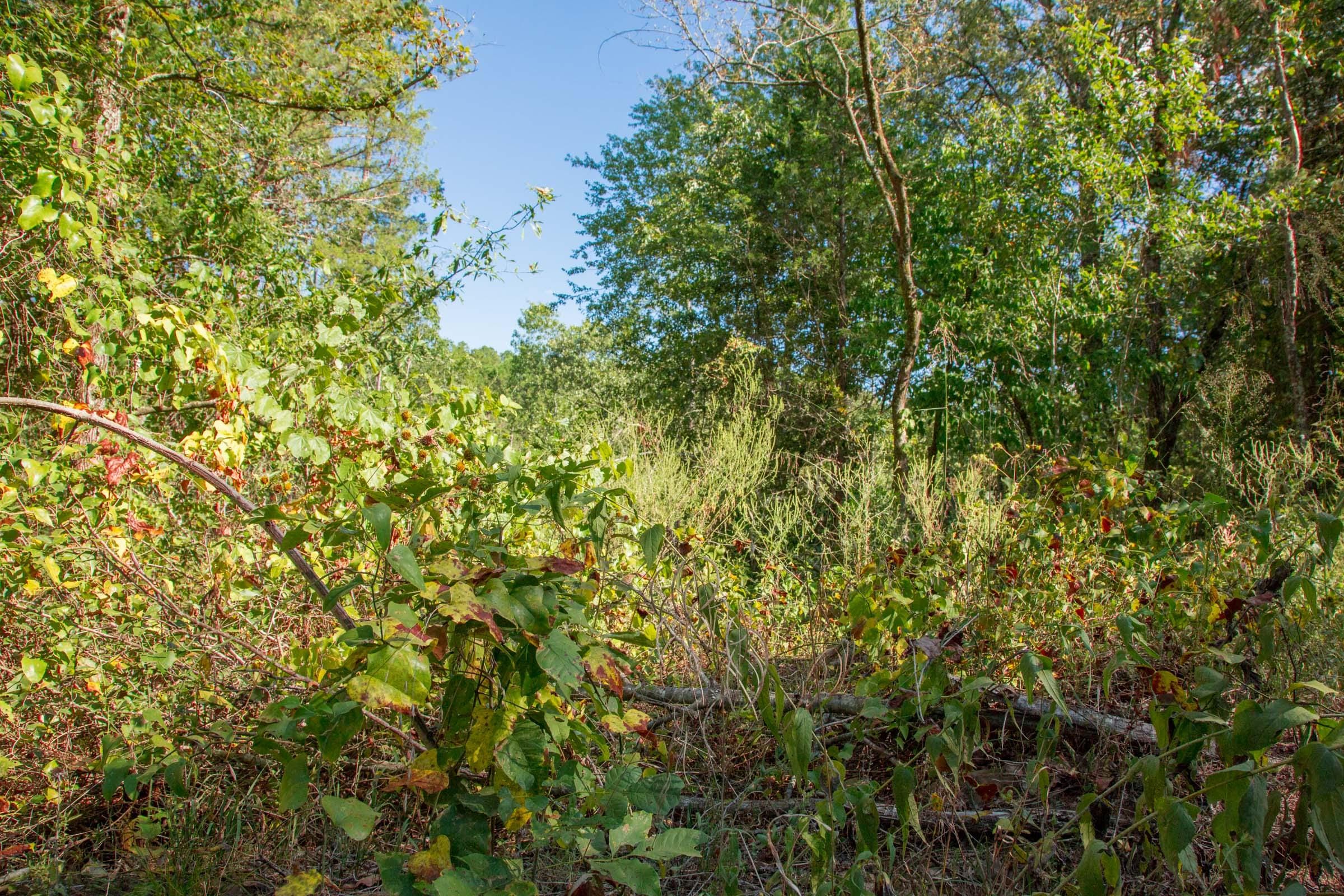 Stone Creek Phase II Tract 268 photo 10