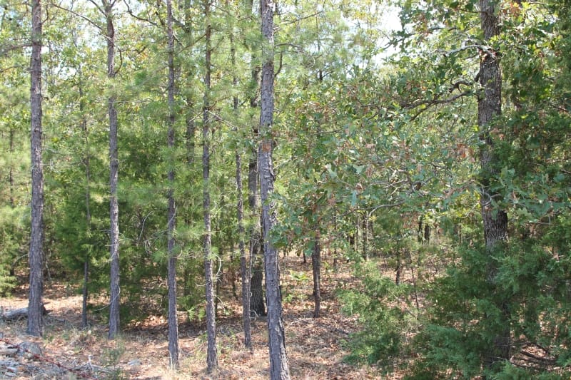 Lake View Ranch Tract 4 photo 1