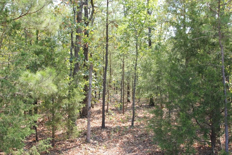 Lake View Ranch Tract 4 photo 2