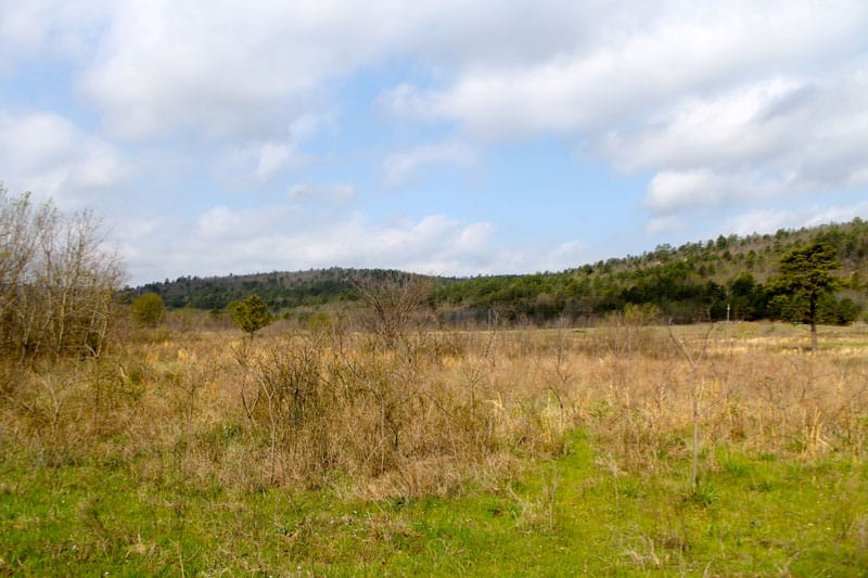 Daisy Meadows Tract 6 photo 2