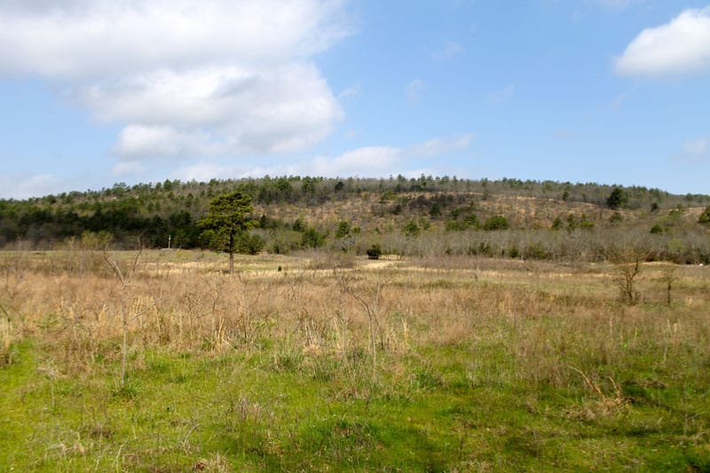 Daisy Meadows Tract 6 photo 3