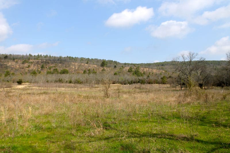 Daisy Meadows Tract 6 photo 4