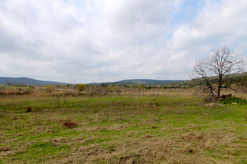 Daisy Meadows Tract 6 photo 8