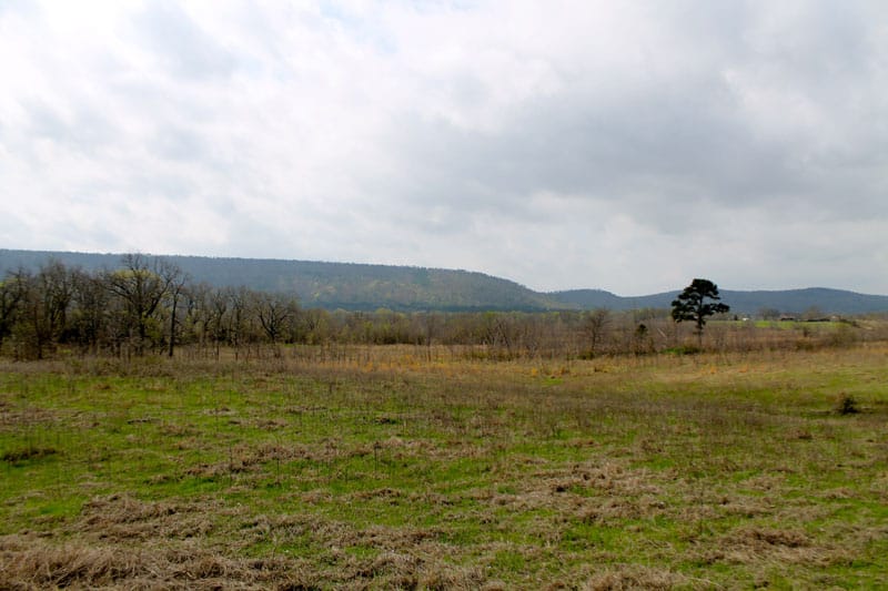 Daisy Meadows Tract 6 photo 9