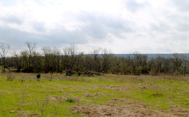 Daisy Meadows Tract 6 photo 10