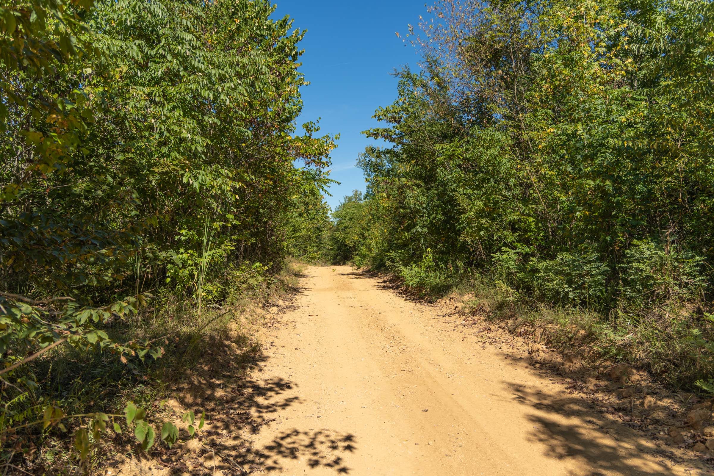 Big White Oak Tract 106 photo 1