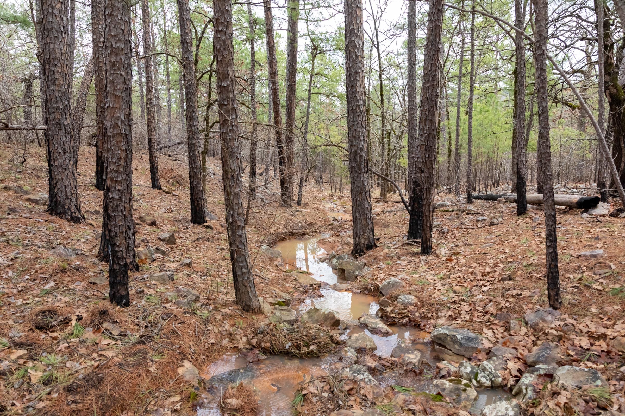 Stone Bridge Phase III Tract 196 photo 3