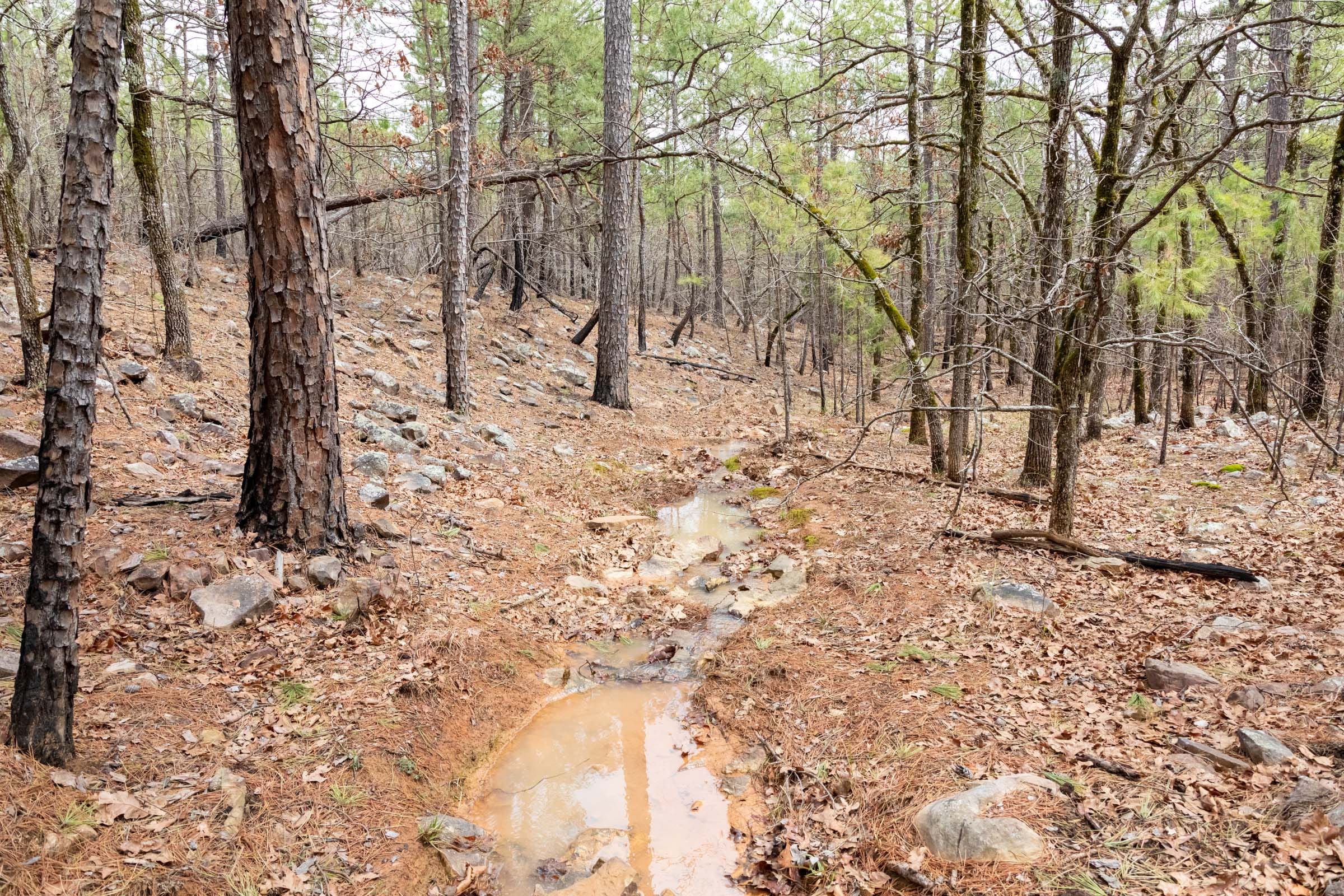 Stone Bridge Phase III Tract 196 photo 4