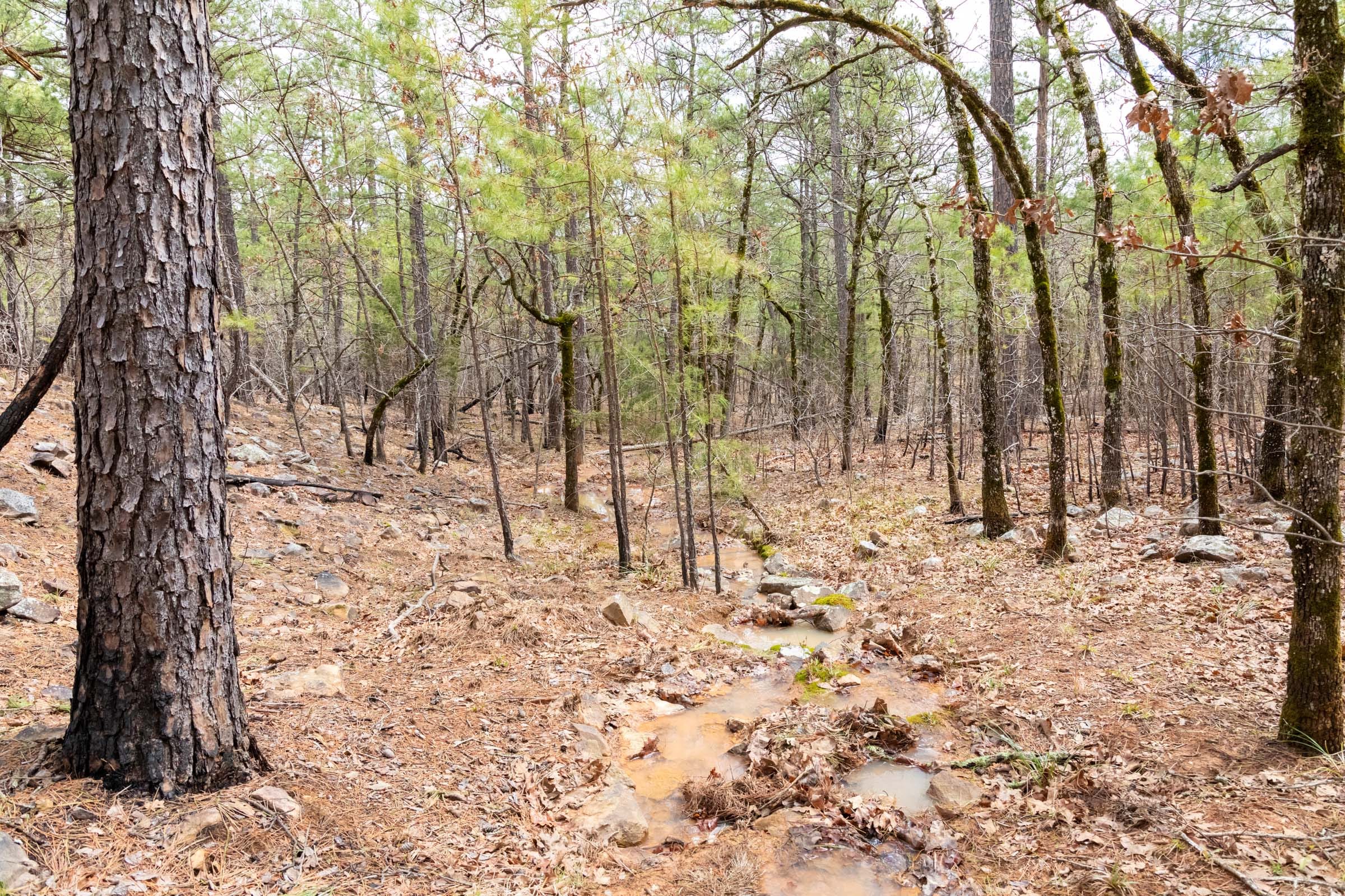 Stone Bridge Phase III Tract 196 photo 5
