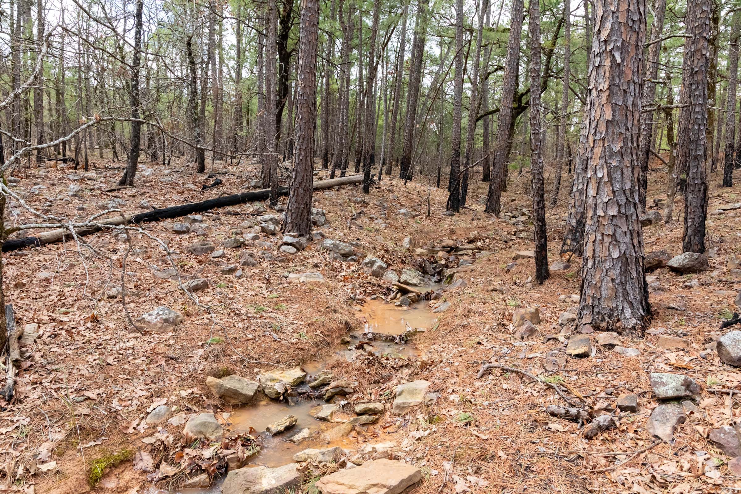 Stone Bridge Phase III Tract 196 photo 6