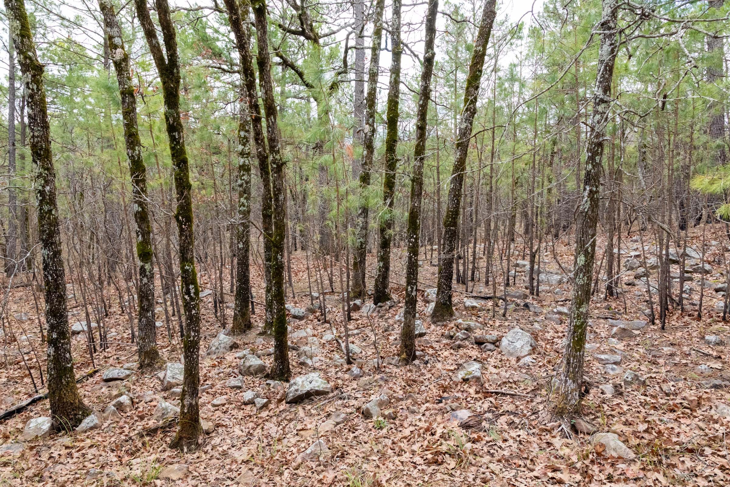 Stone Bridge Phase III Tract 196 photo 7