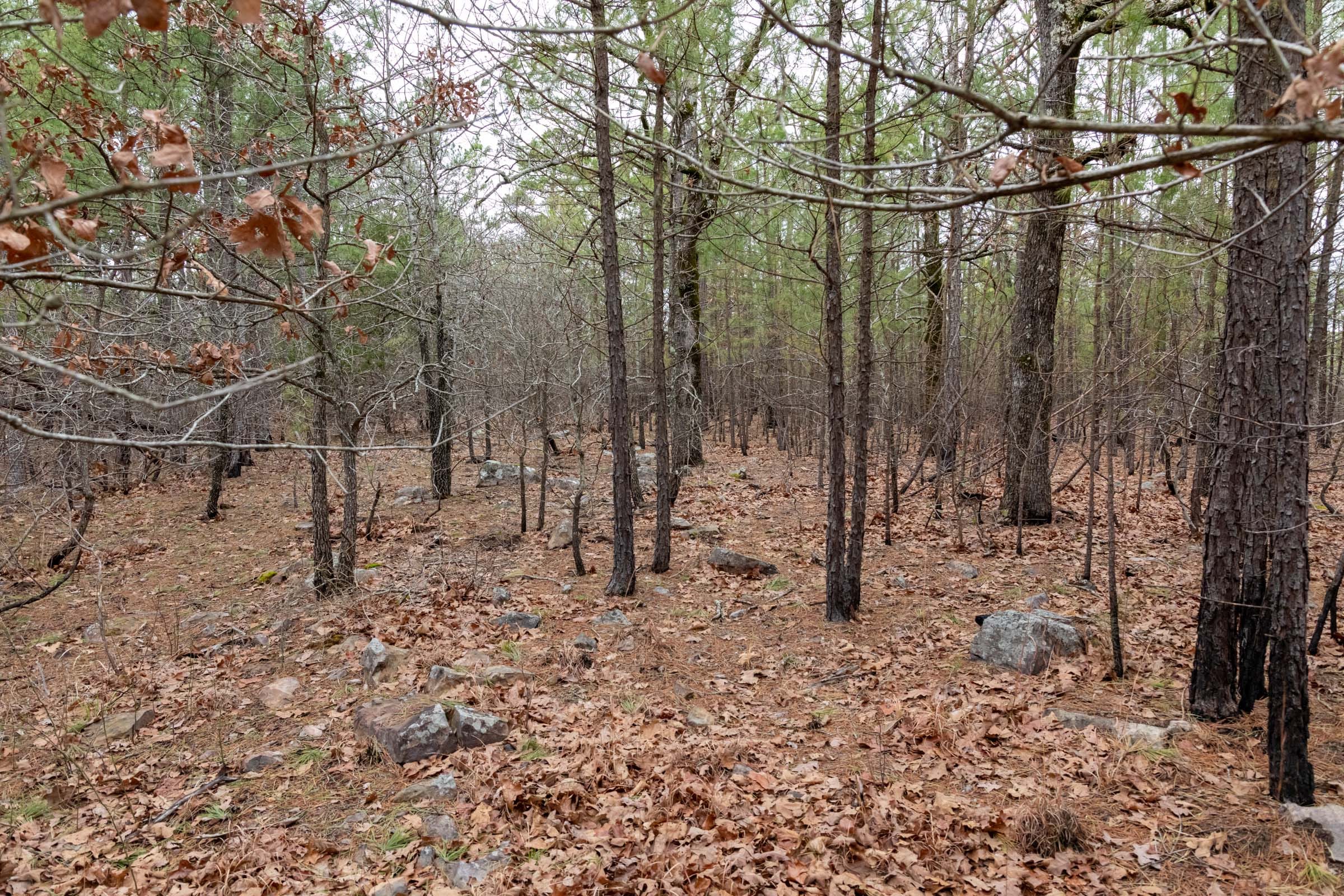 Stone Bridge Phase III Tract 196 photo 11