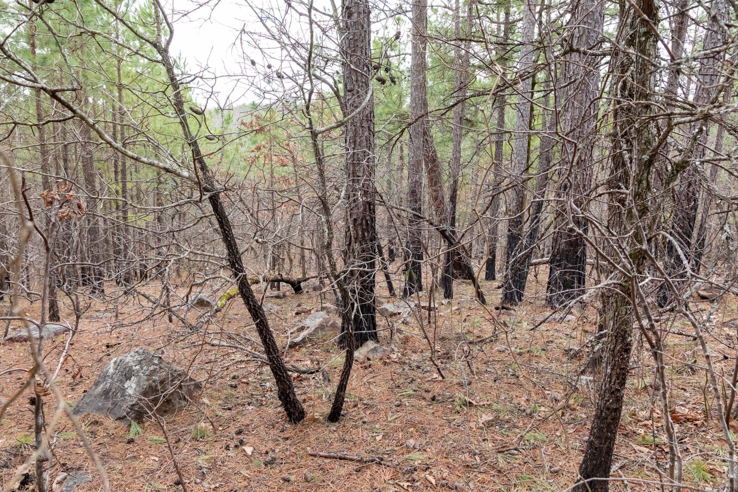 Stone Bridge Phase III Tract 196 photo 12