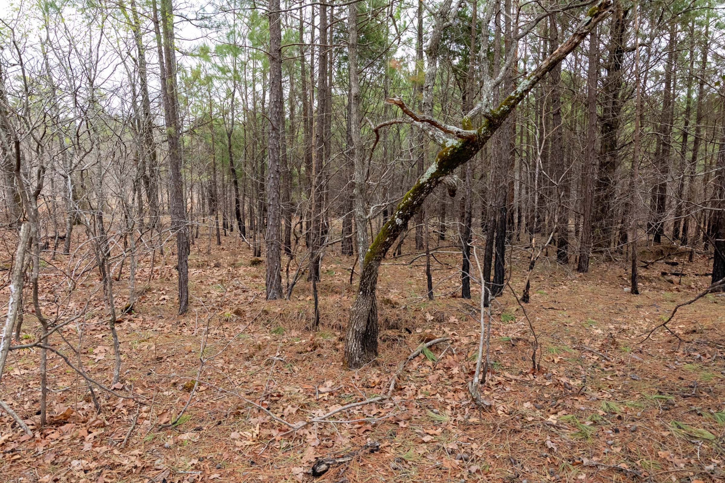 Stone Bridge Phase III Tract 196 photo 13