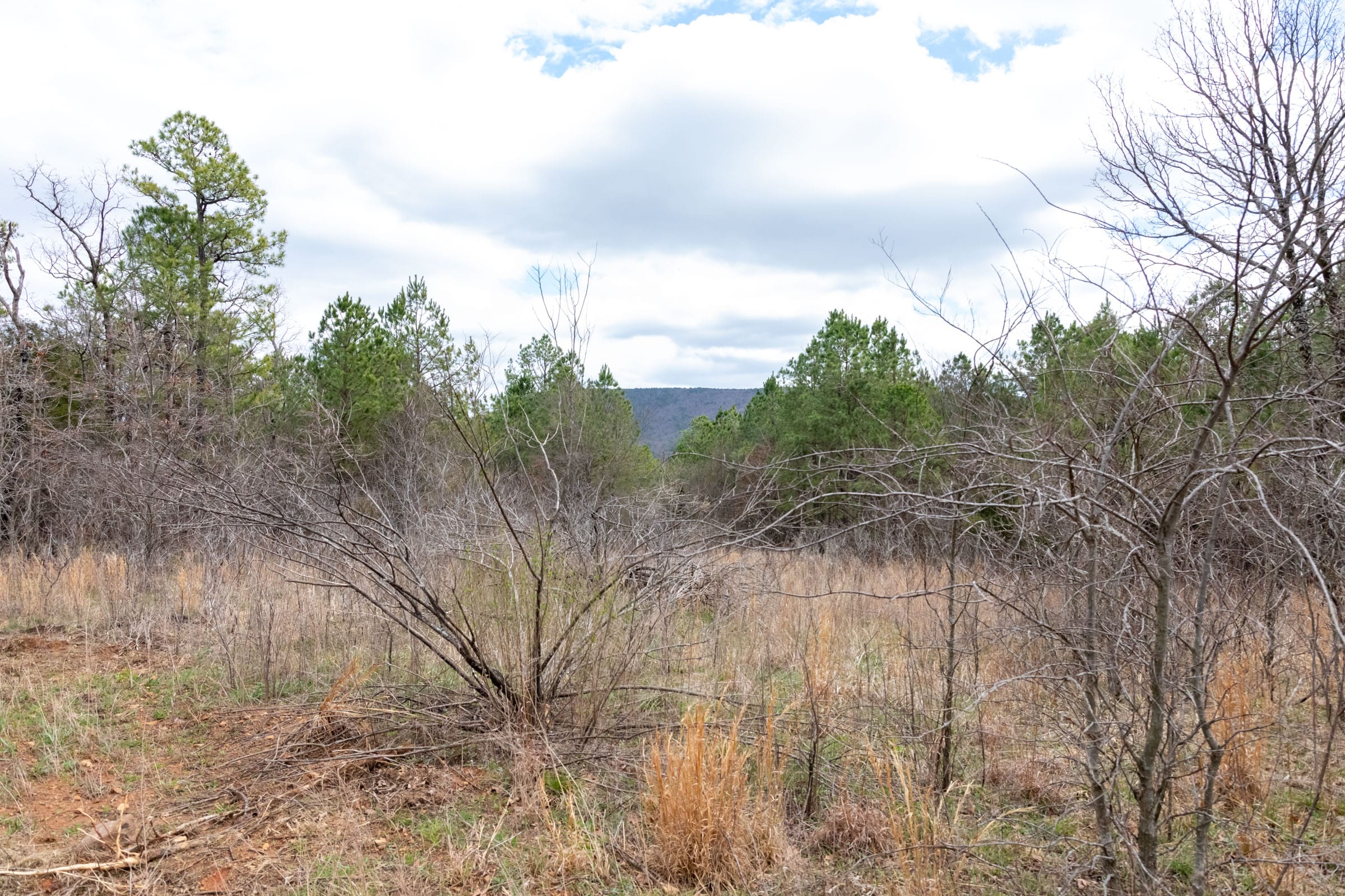 Stone Bridge Phase III Tract 196 photo 14
