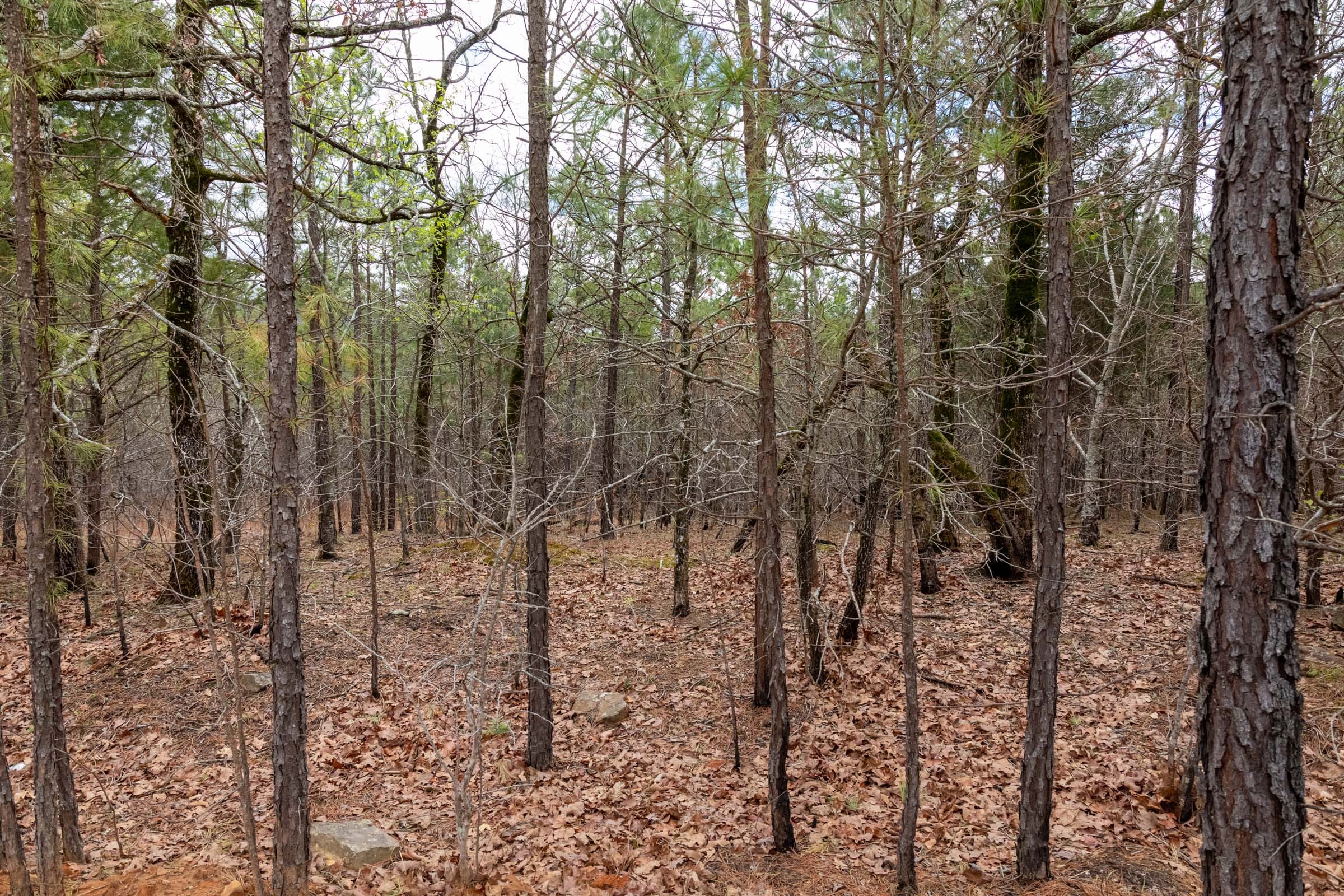 Stone Bridge Phase III Tract 196 photo 15