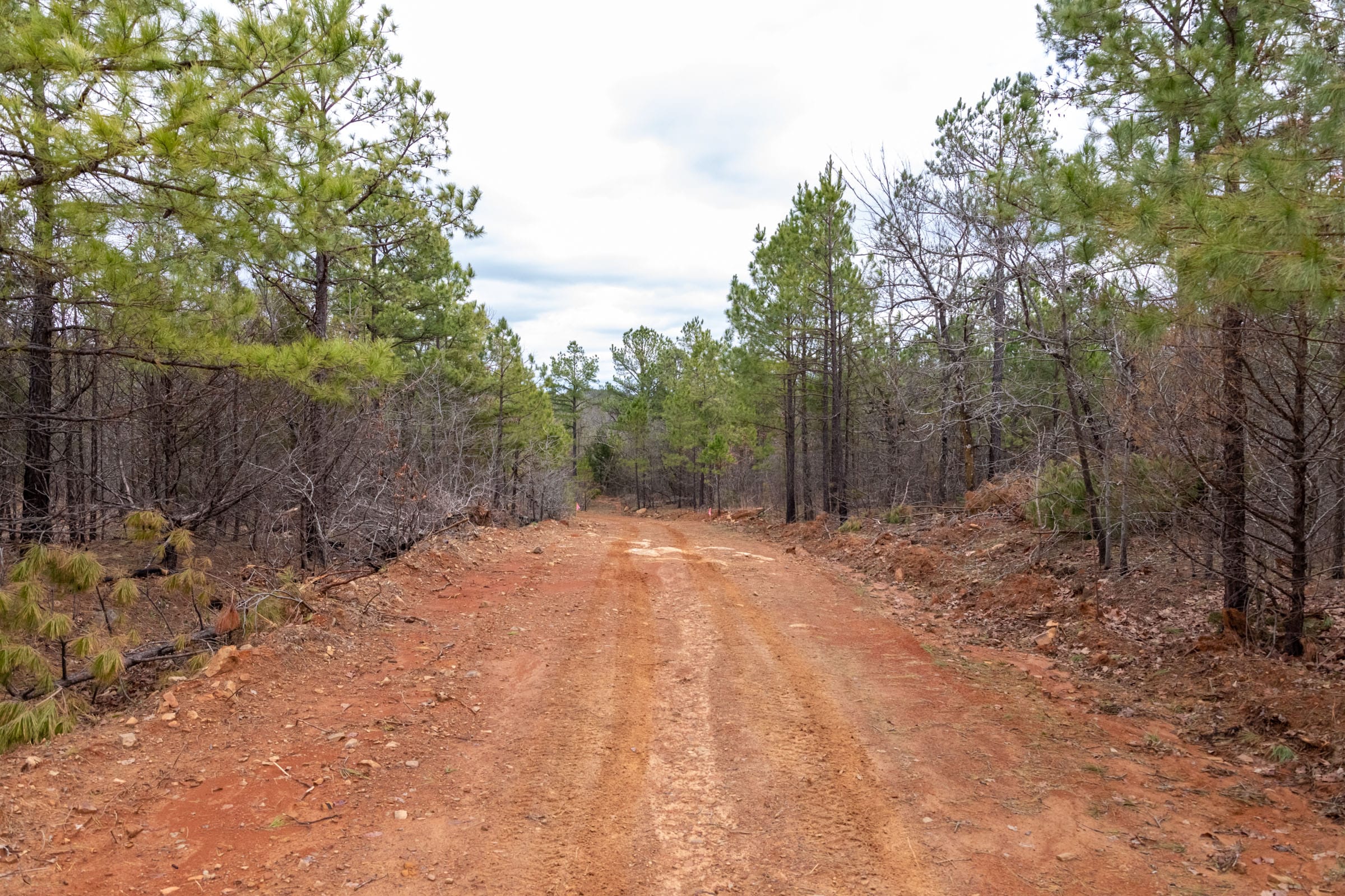 Stone Bridge Phase III Tract 196 photo 9