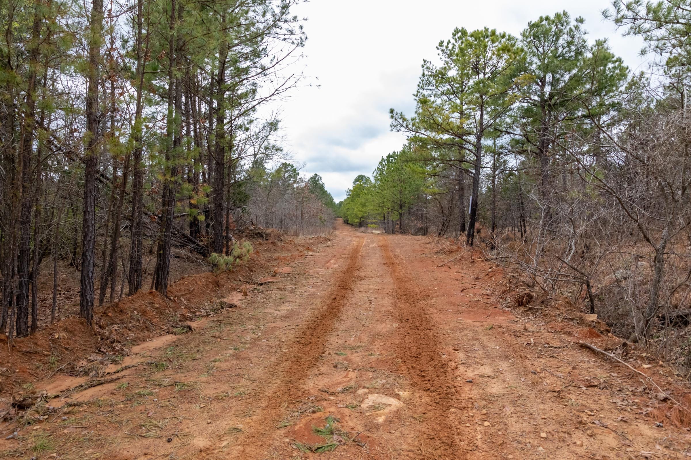 Stone Bridge Phase III Tract 196 photo 2