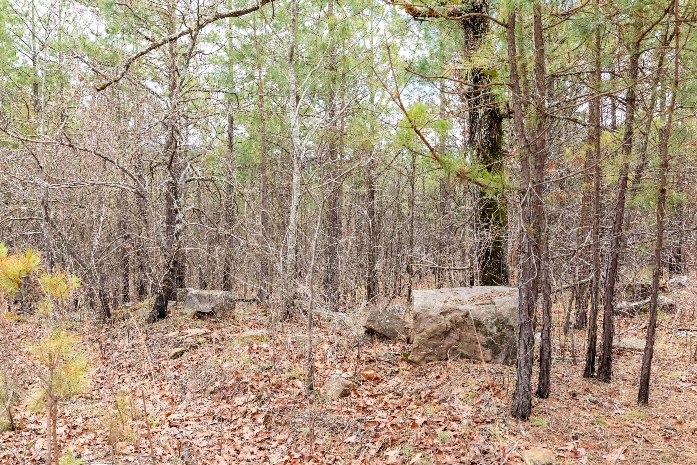 Stone Bridge Phase III Tract 196 photo 16