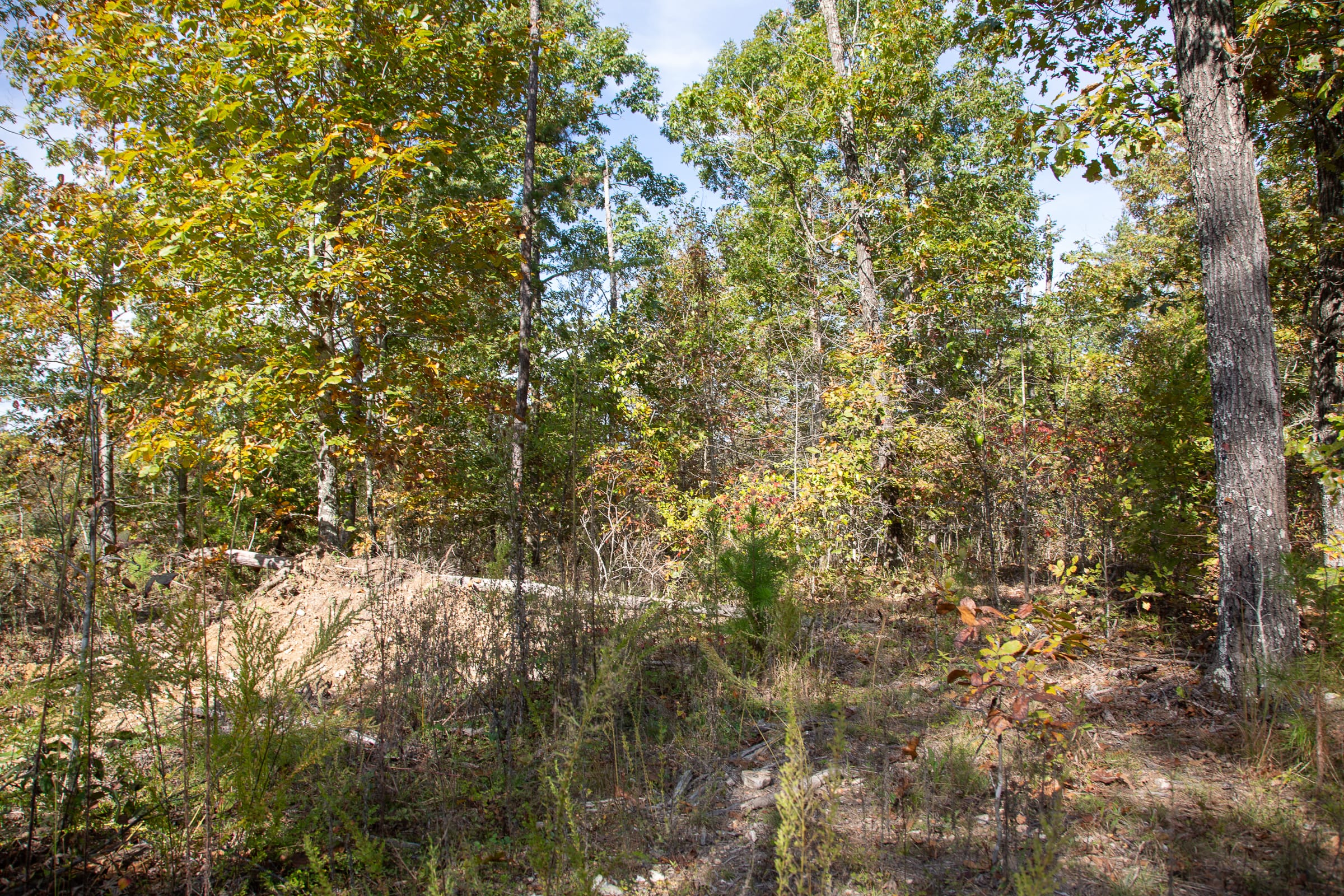 Borgmann’s Hollow Phase IV Tract 131 photo 3
