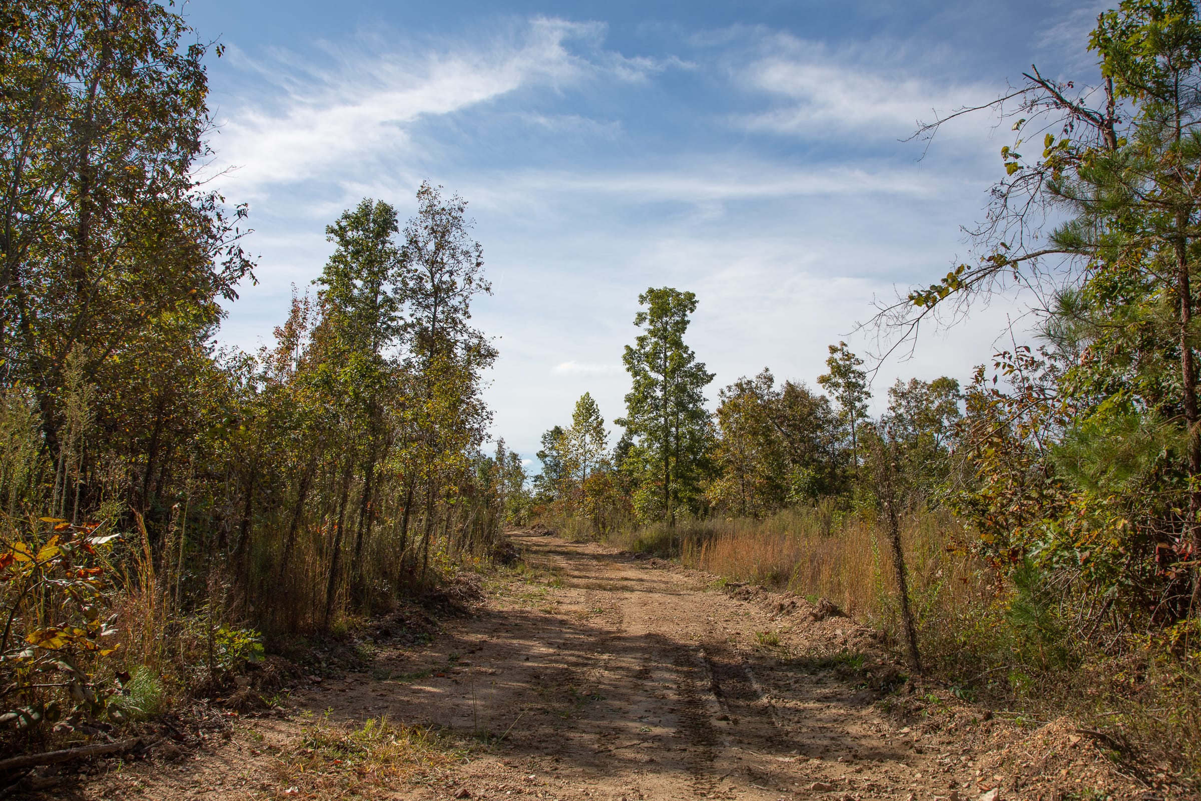 Borgmann’s Hollow Phase IV Tract 131 photo 4