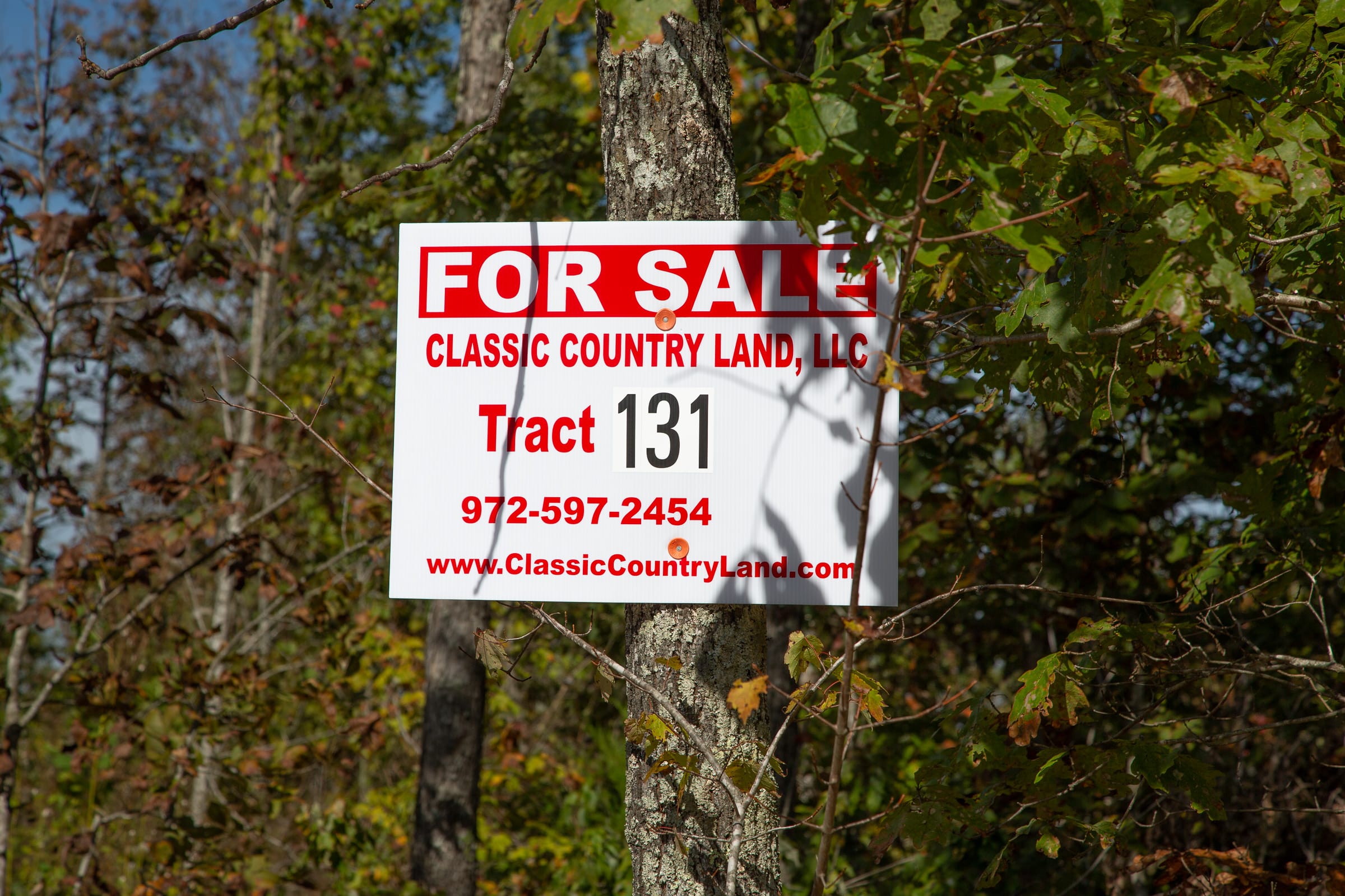 Borgmann’s Hollow Phase IV Tract 131 photo 1
