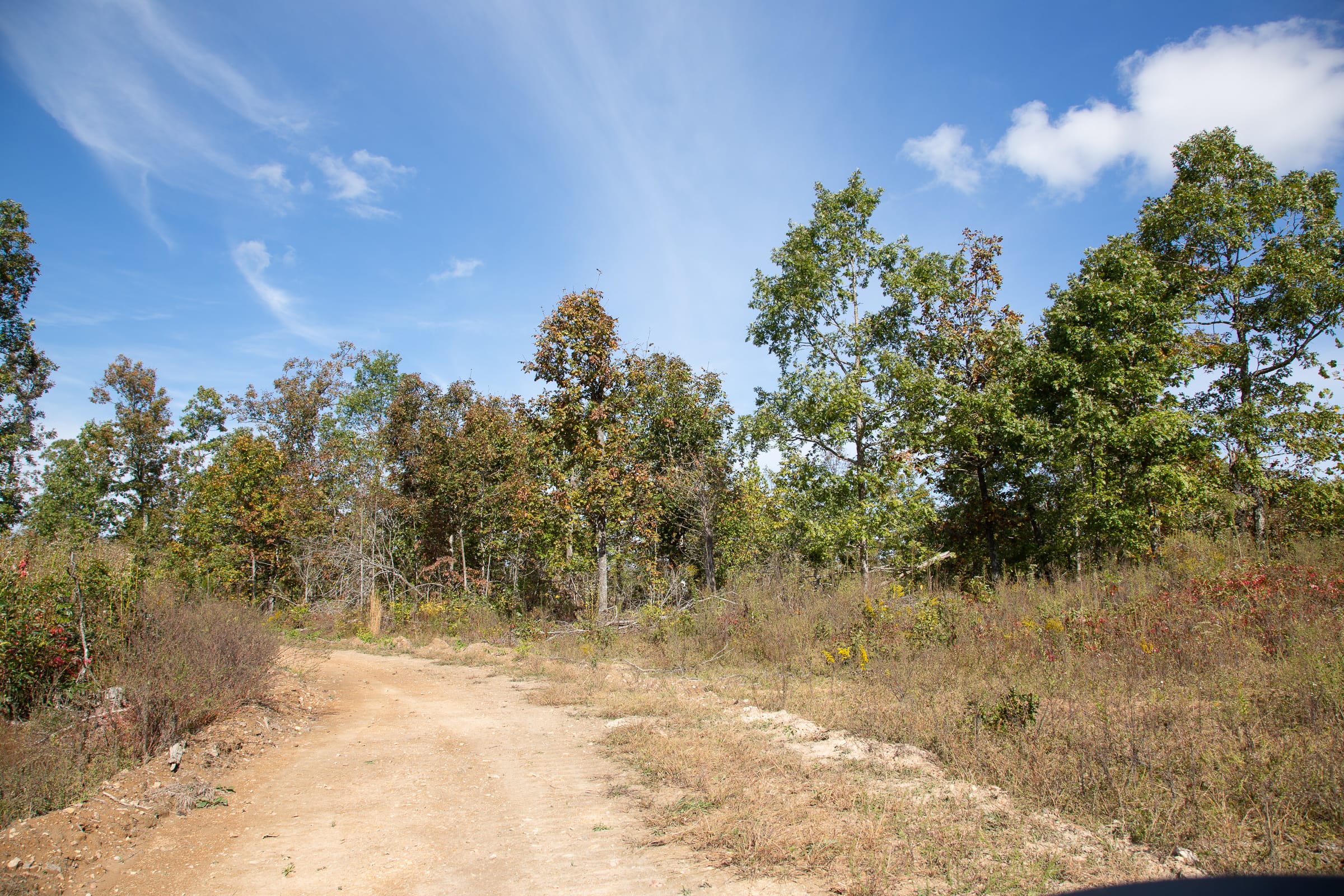 Borgmann’s Hollow Phase IV Tract 131 photo 13