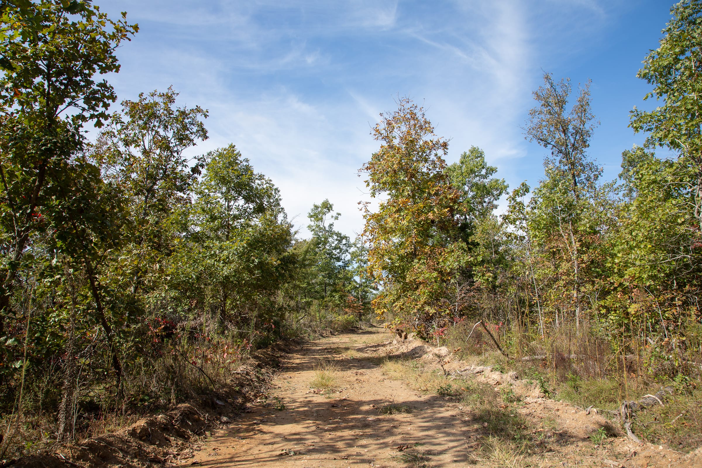 Borgmann’s Hollow Phase IV Tract 131 photo 17