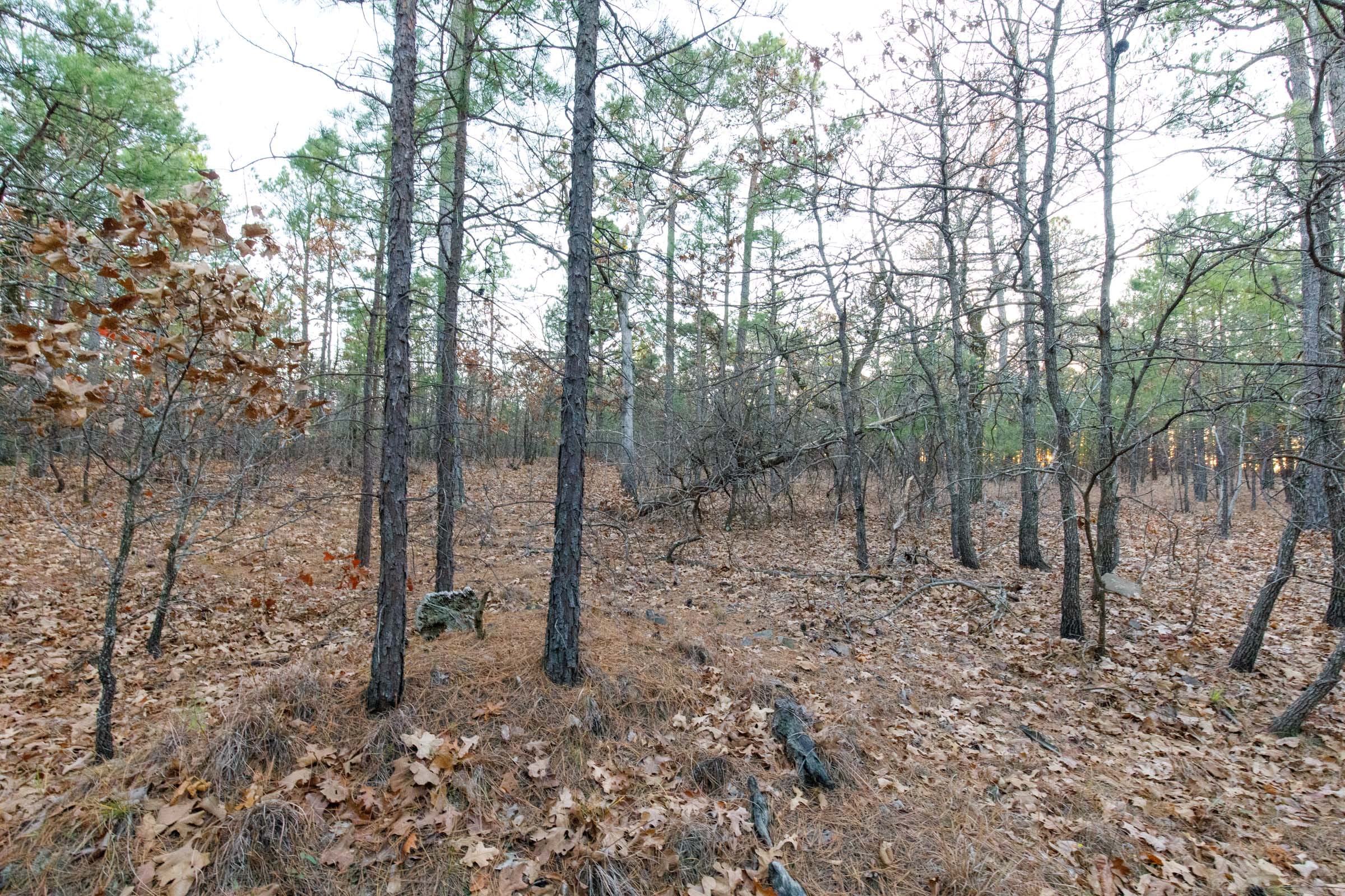 Stone Bridge Phase II Tract 113 photo 2
