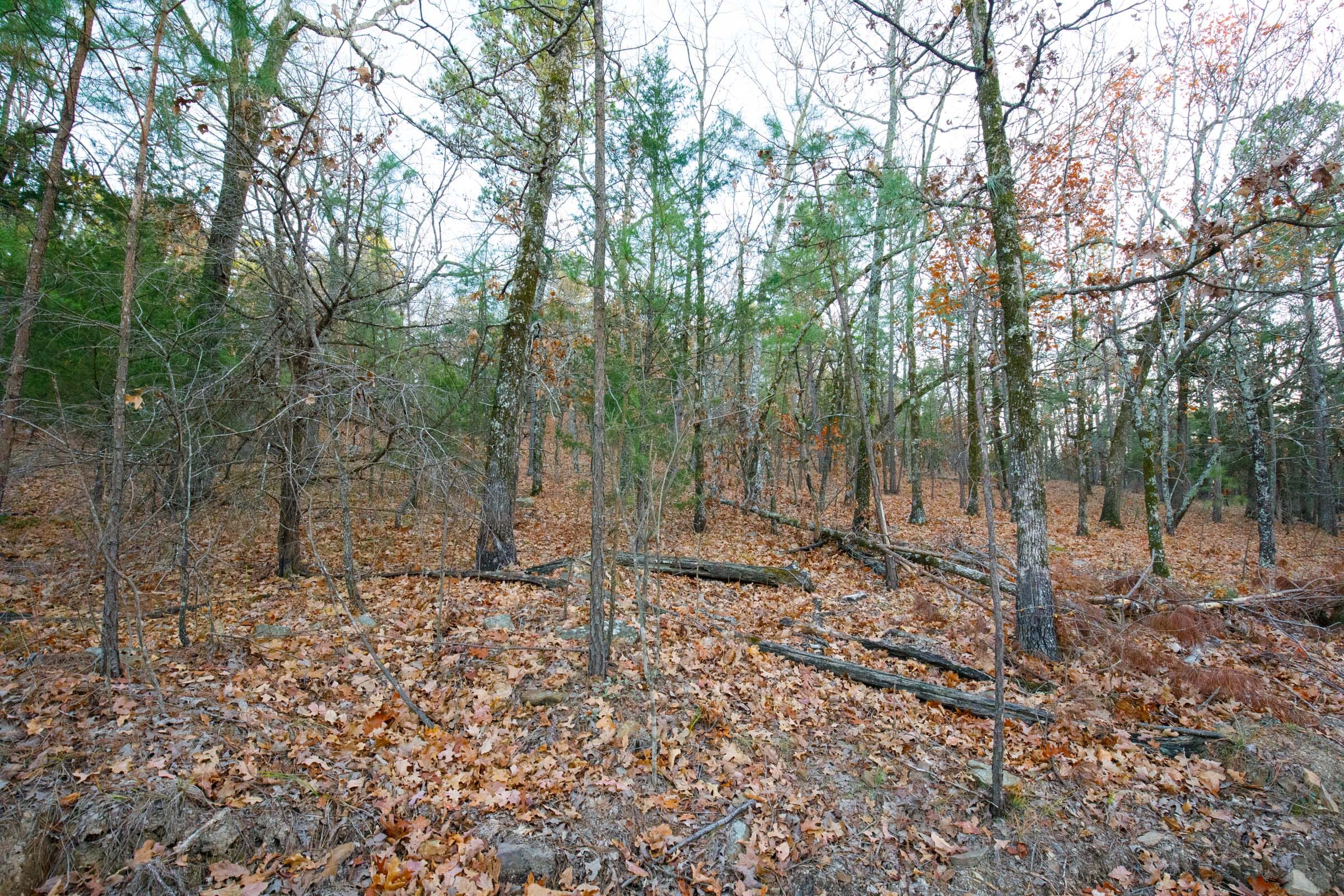 Stone Bridge Phase II Tract 113 photo 7