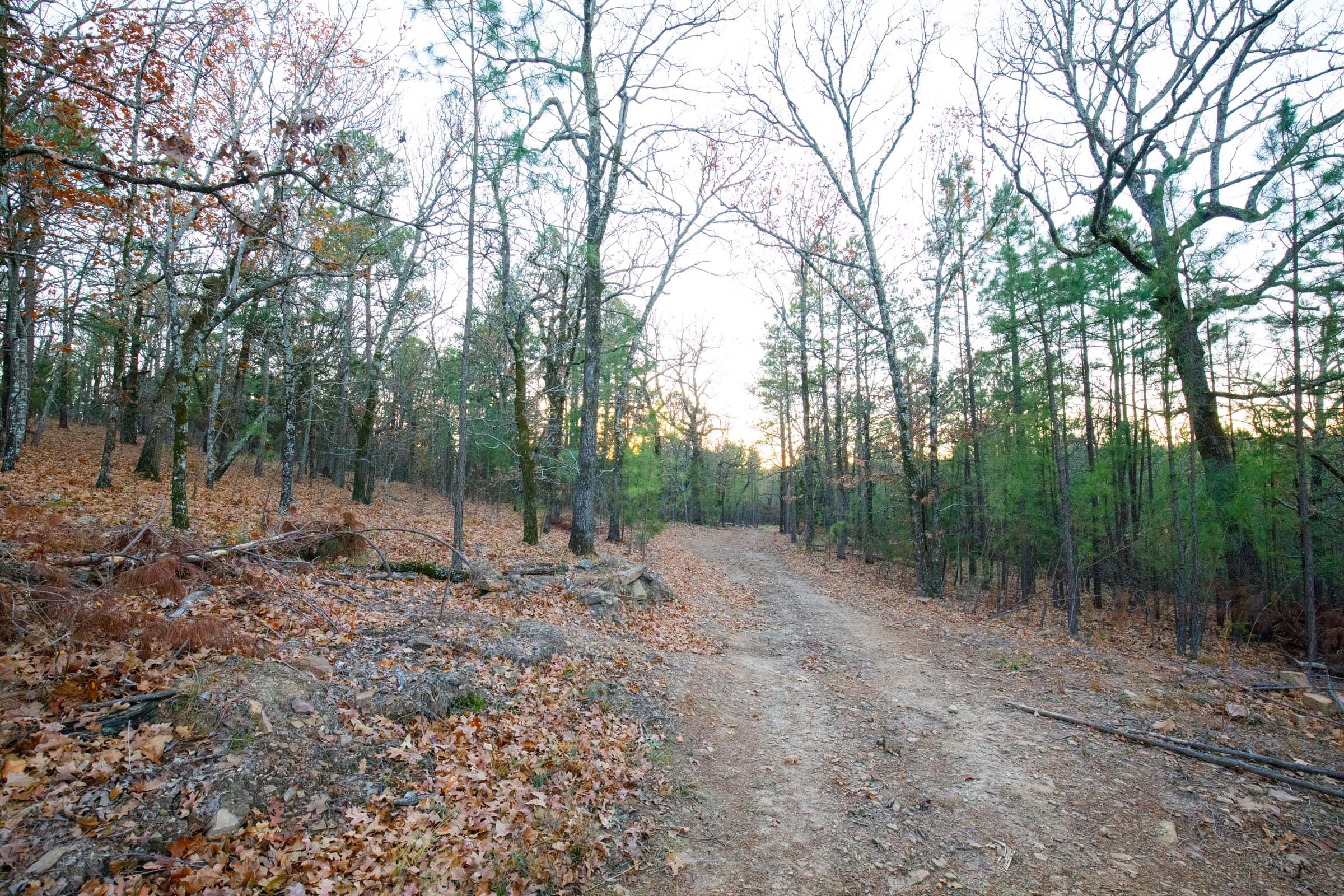 Stone Bridge Phase II Tract 113 photo 1