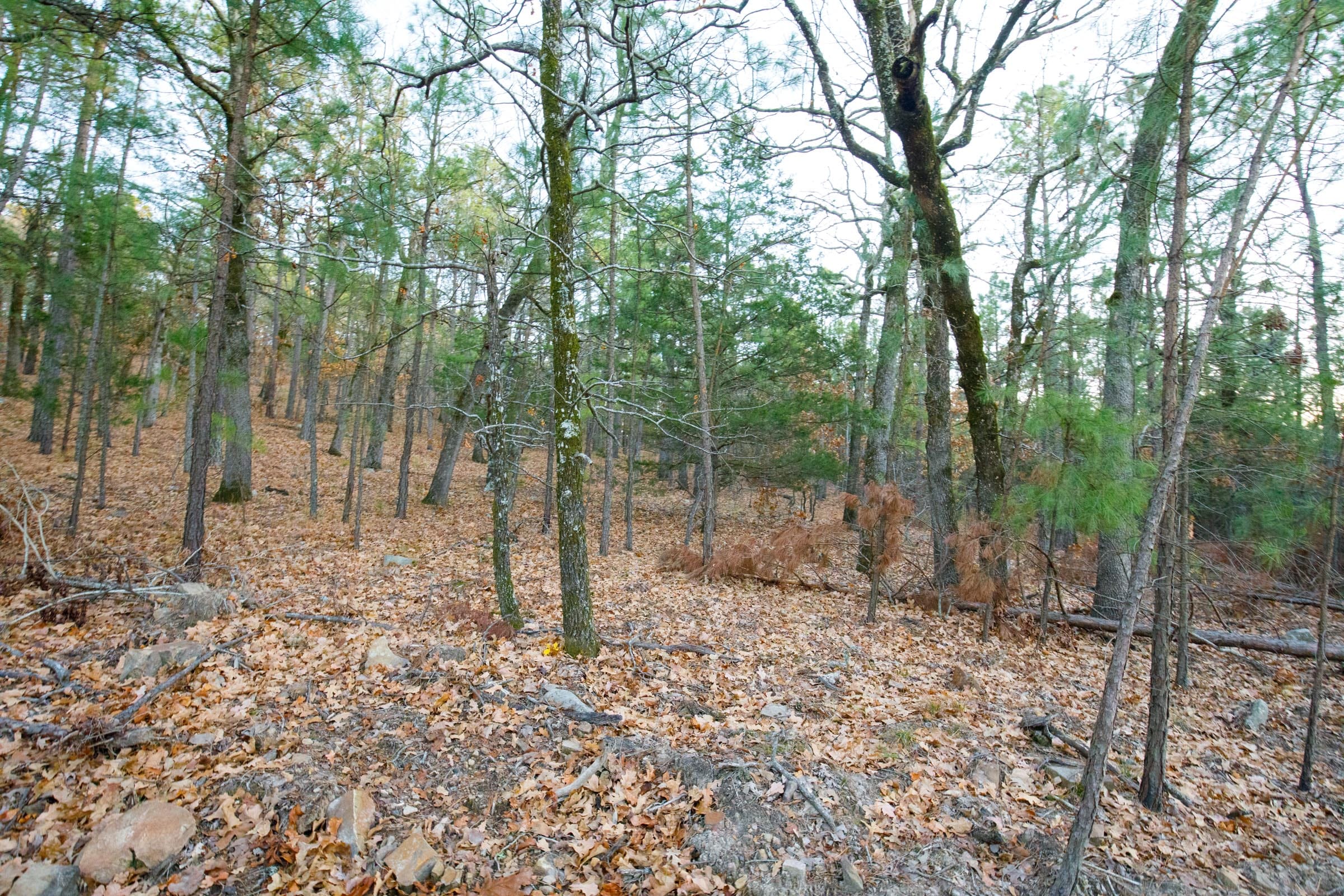 Stone Bridge Phase II Tract 113 photo 8