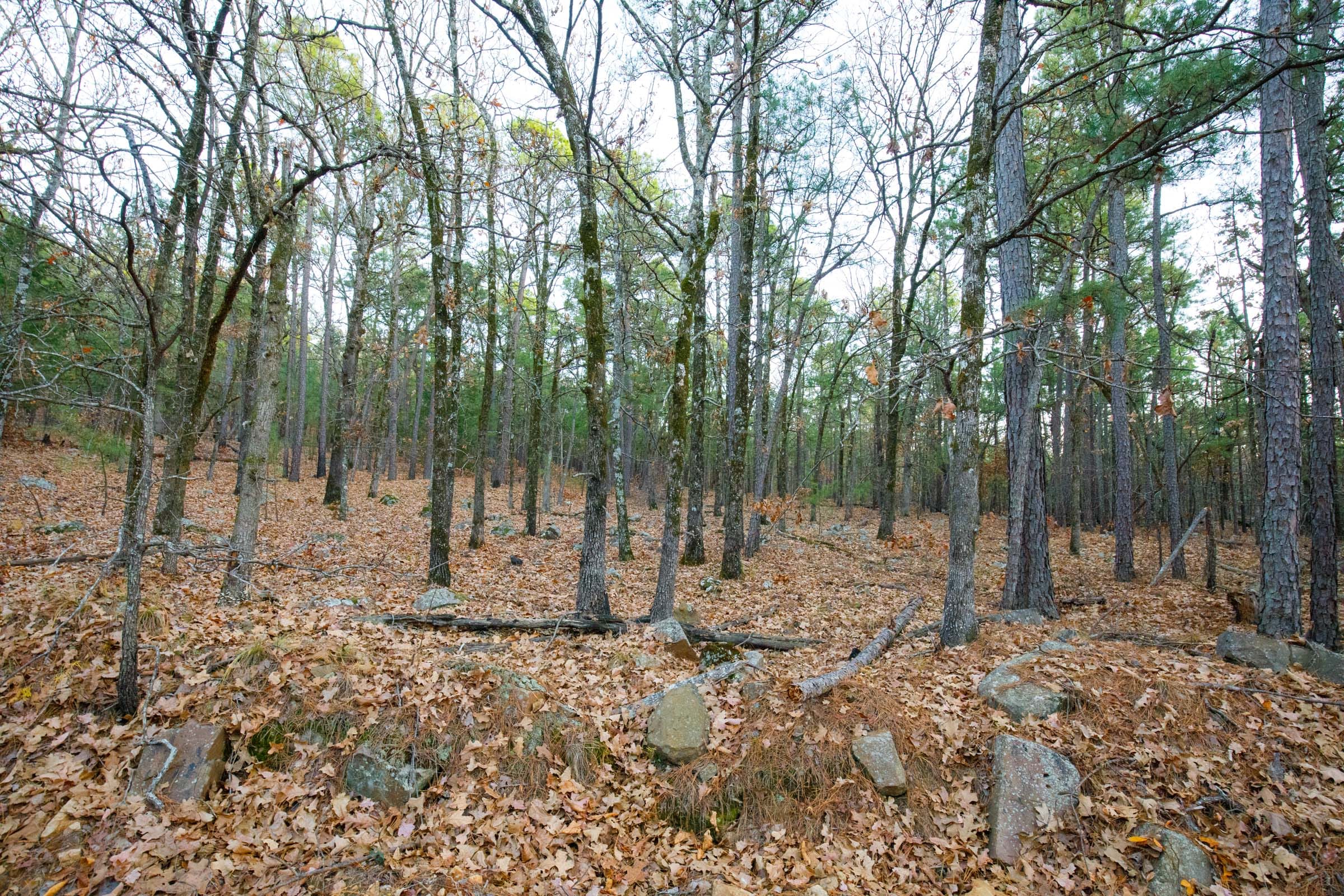 Stone Bridge Phase II Tract 113 photo 9