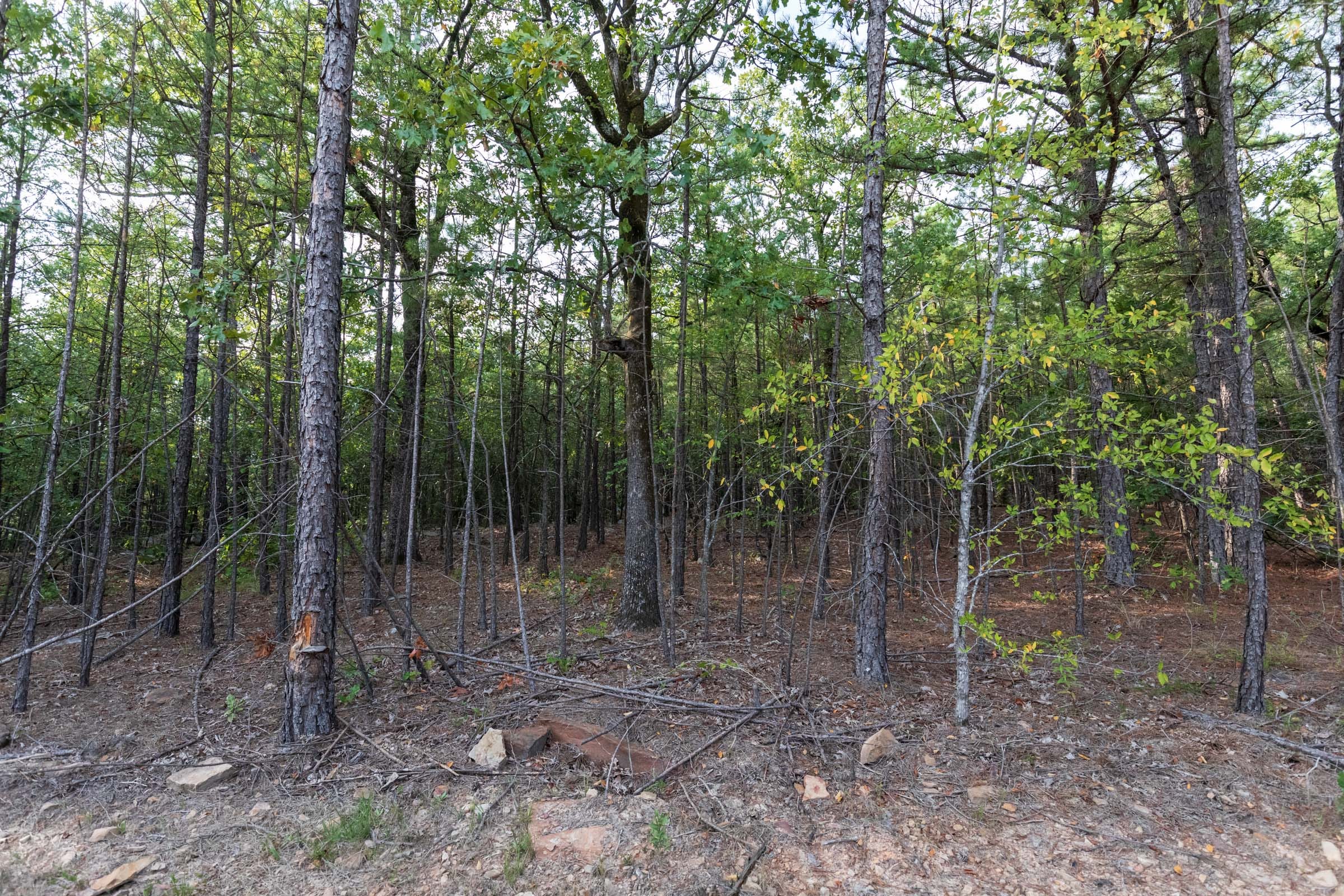 Stone Bridge Phase V Tract 403 photo 6