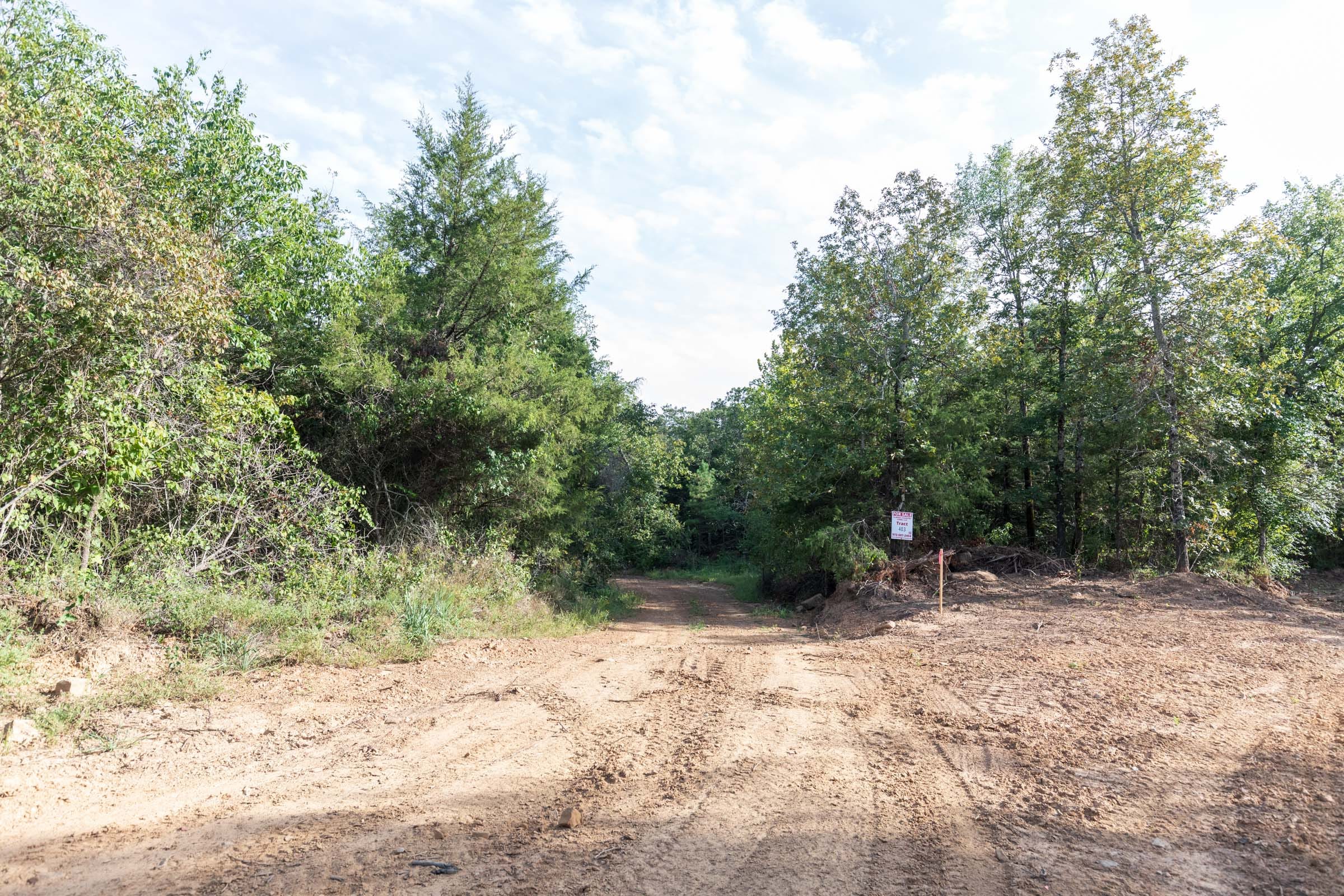 Stone Bridge Phase V Tract 403 photo 8