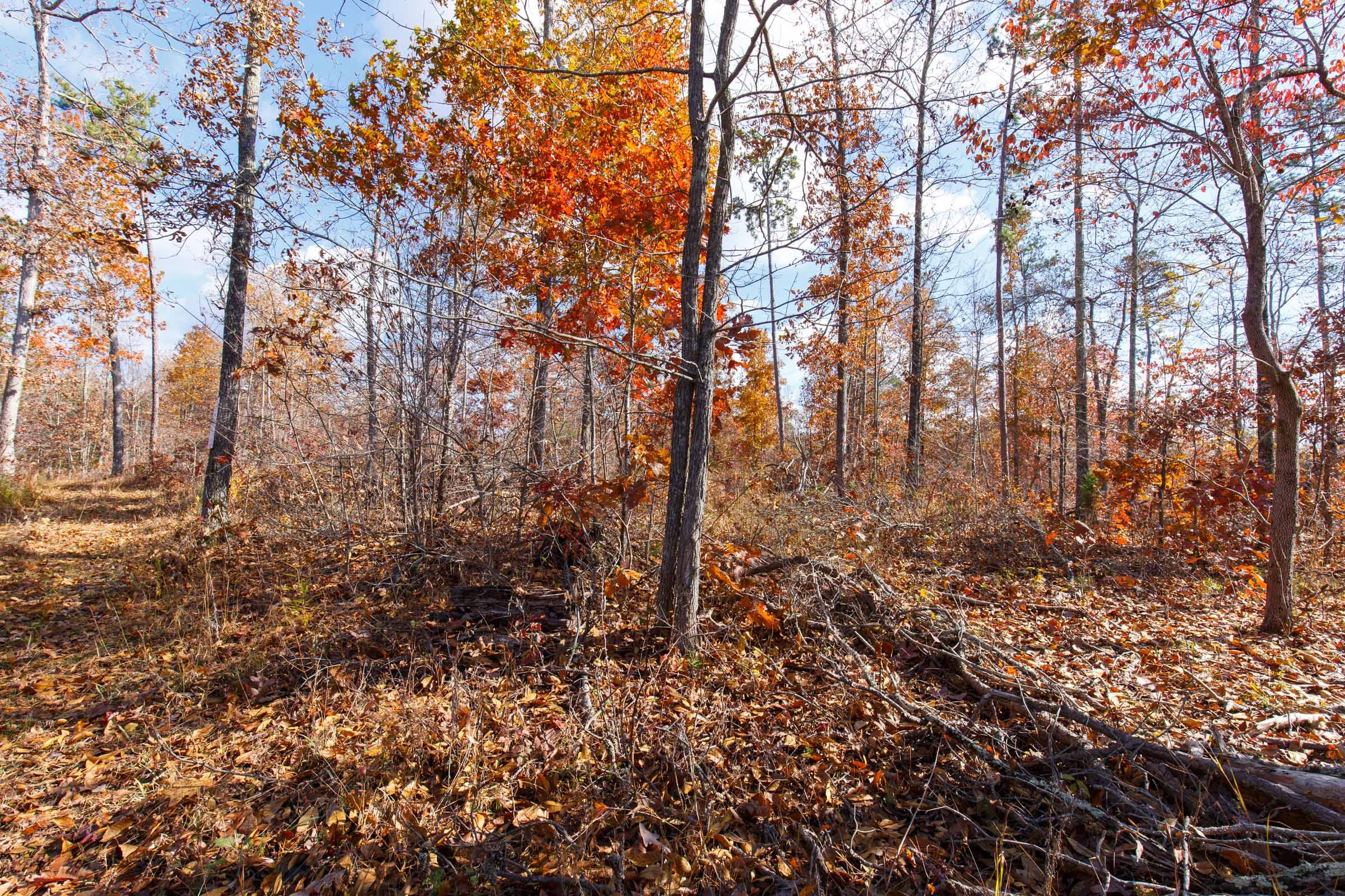 Hawkcrest Tract 41 photo 2