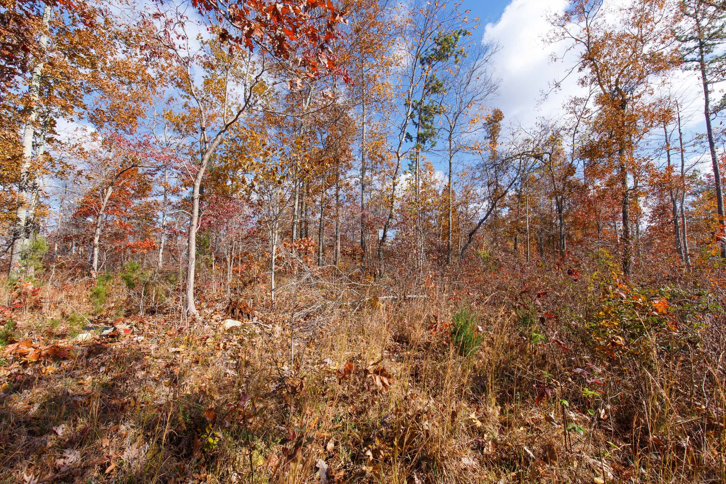 Hawkcrest Tract 41 photo 3