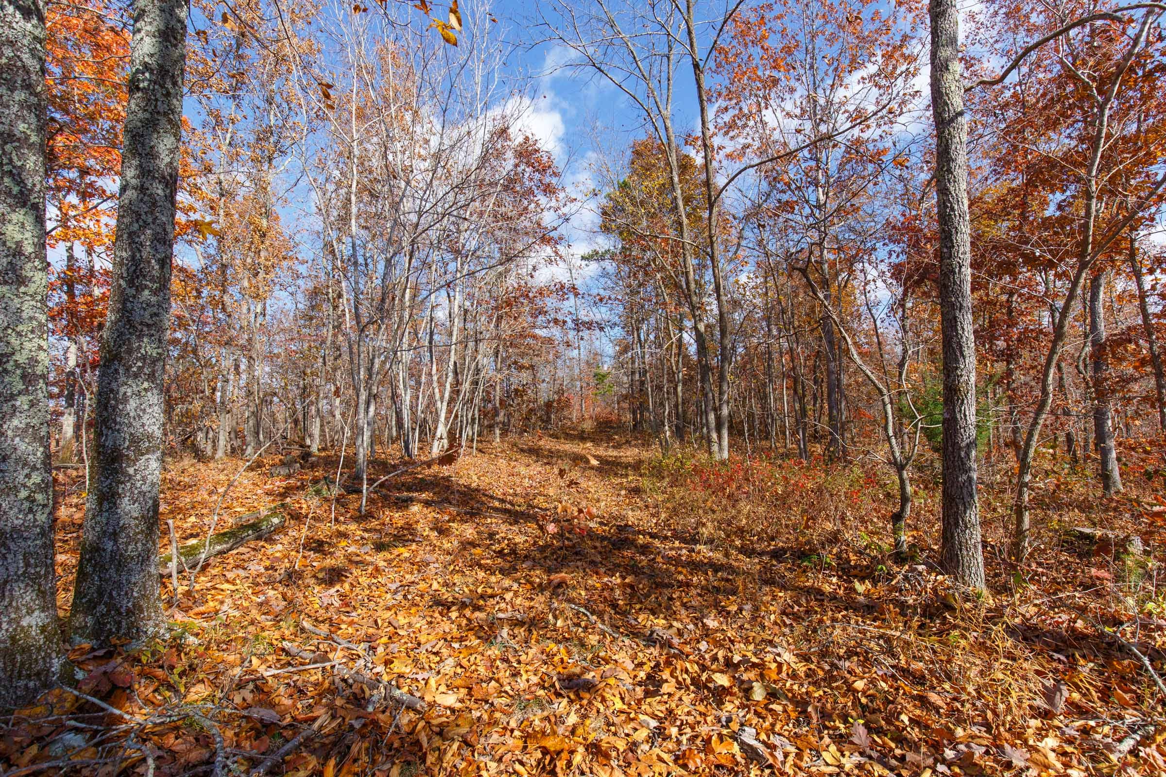Hawkcrest Tract 41 photo 1