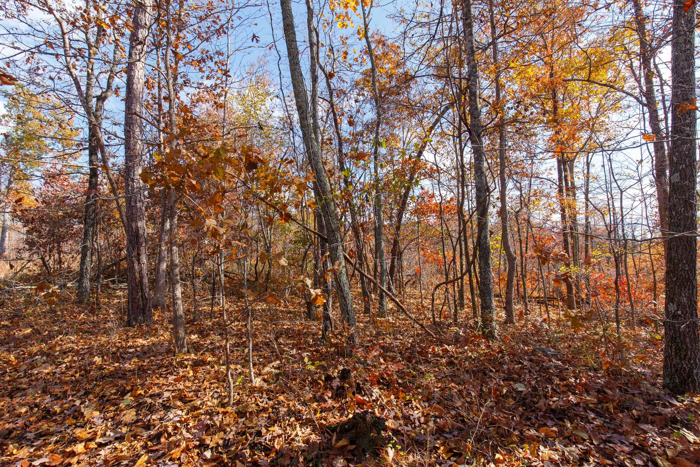 Hawkcrest Tract 41 photo 6