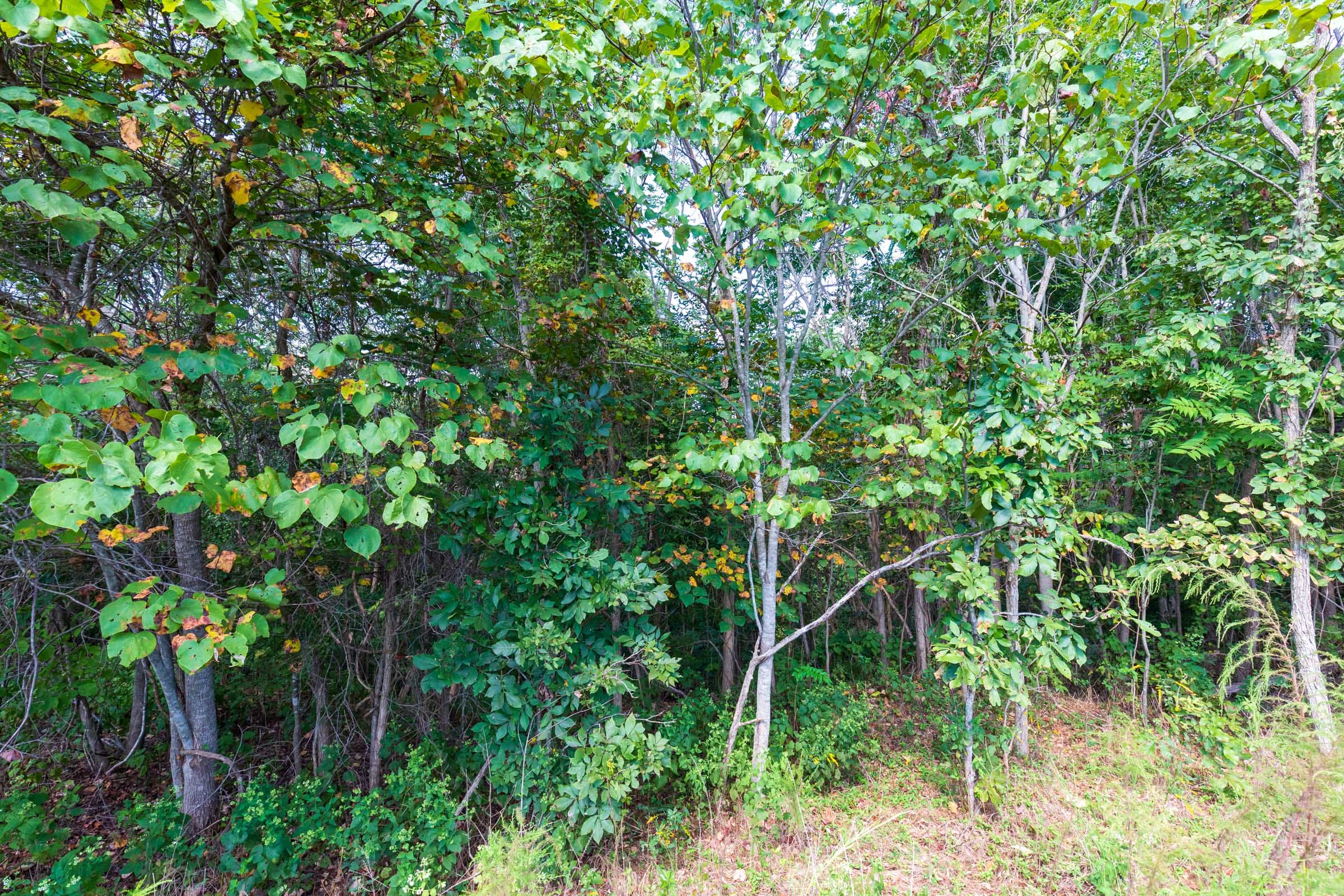 Redemption Ridge Tract 5 photo 3