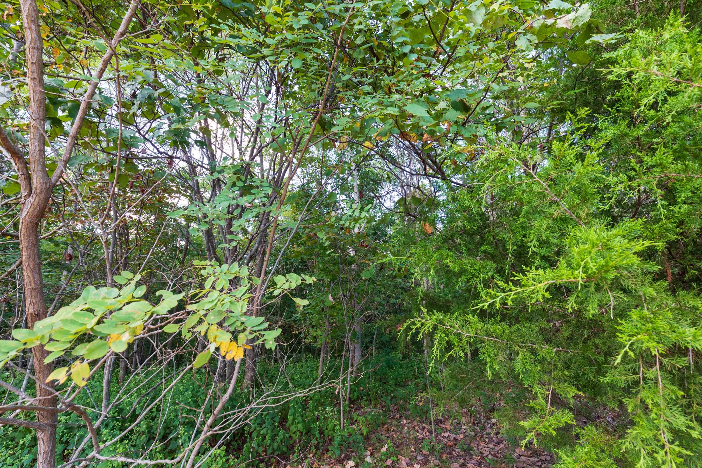 Redemption Ridge Tract 5 photo 7
