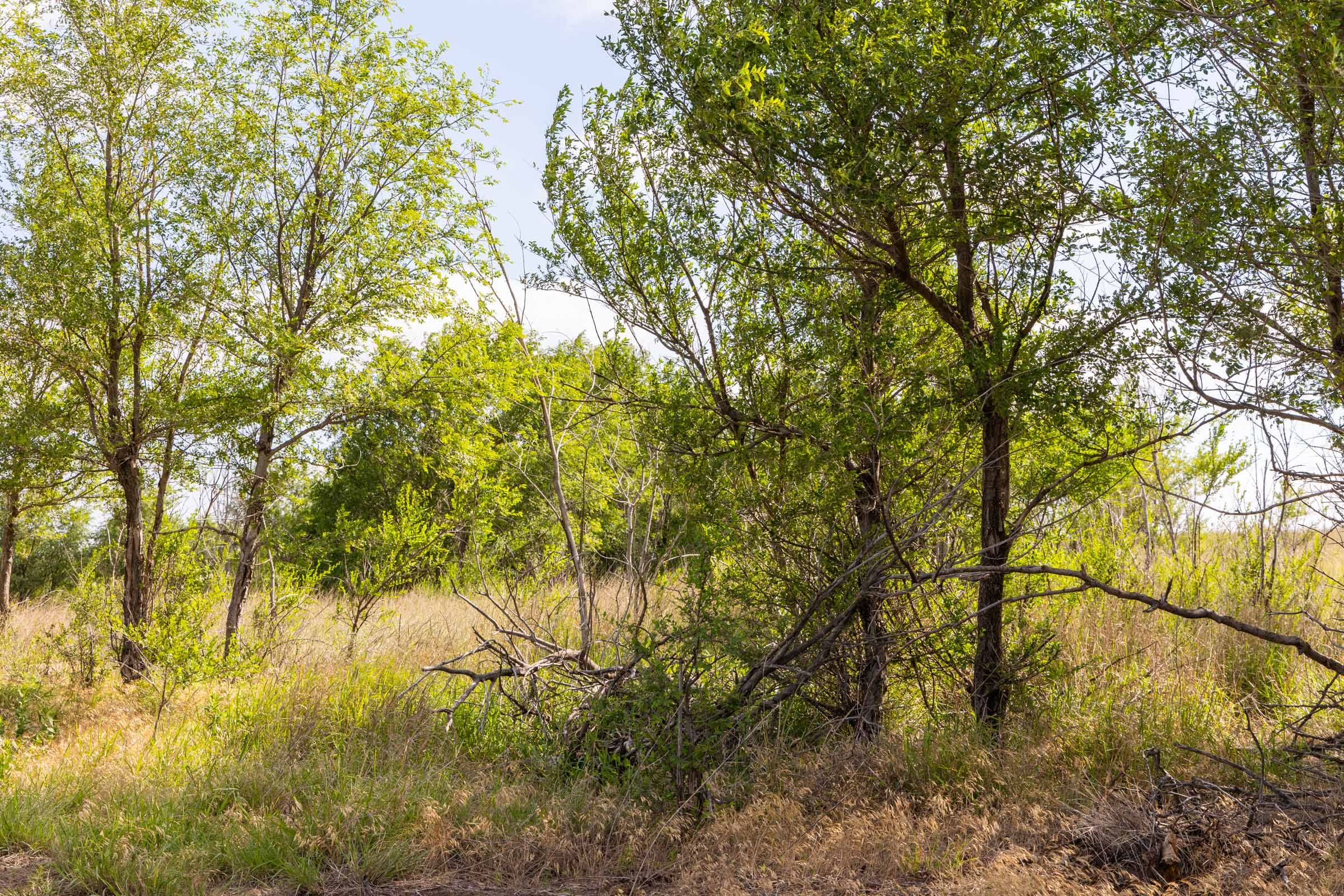 Crandall's Corner Tract 6 photo 8