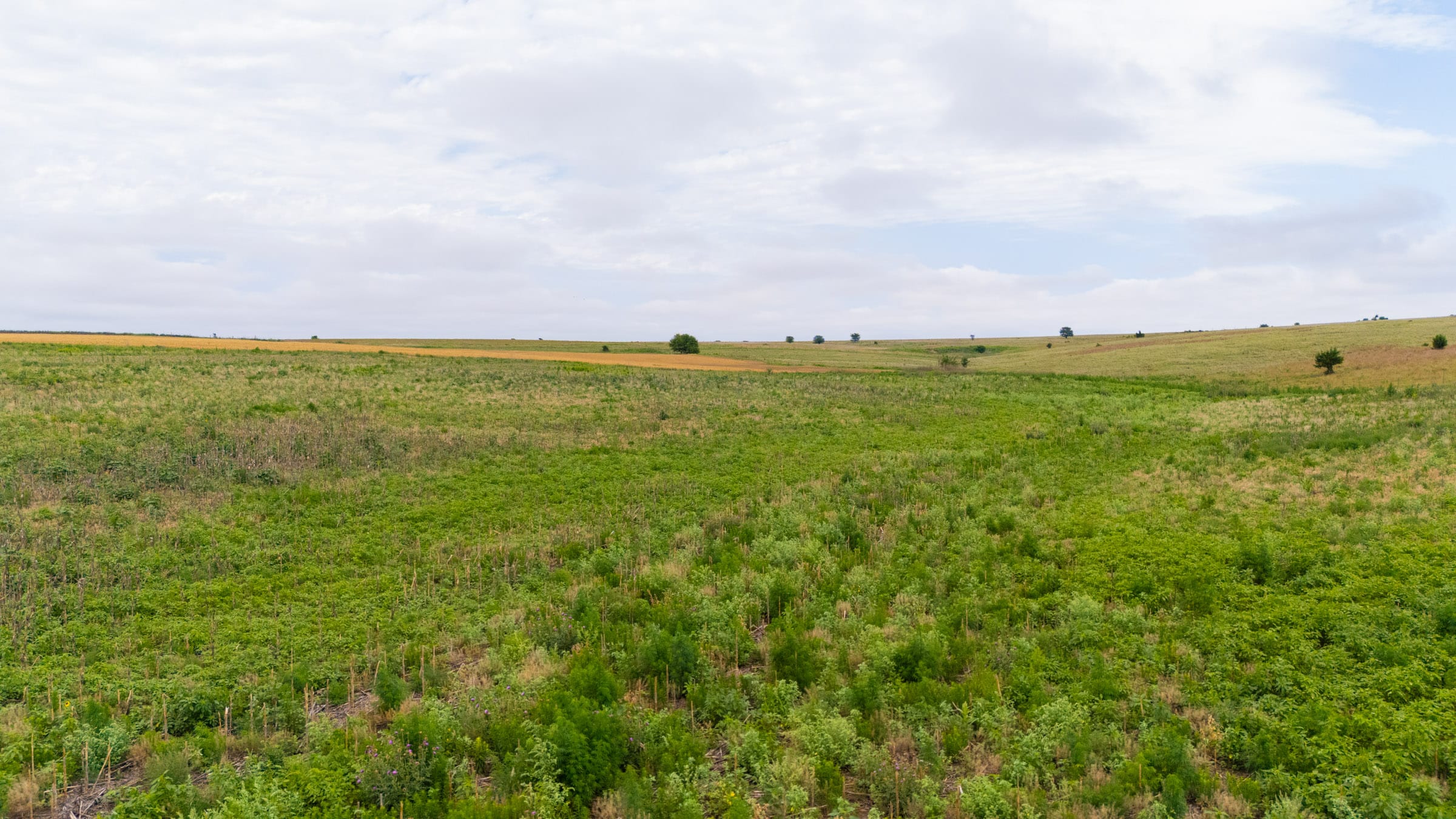 Crandall's Corner Tract 6 photo 4