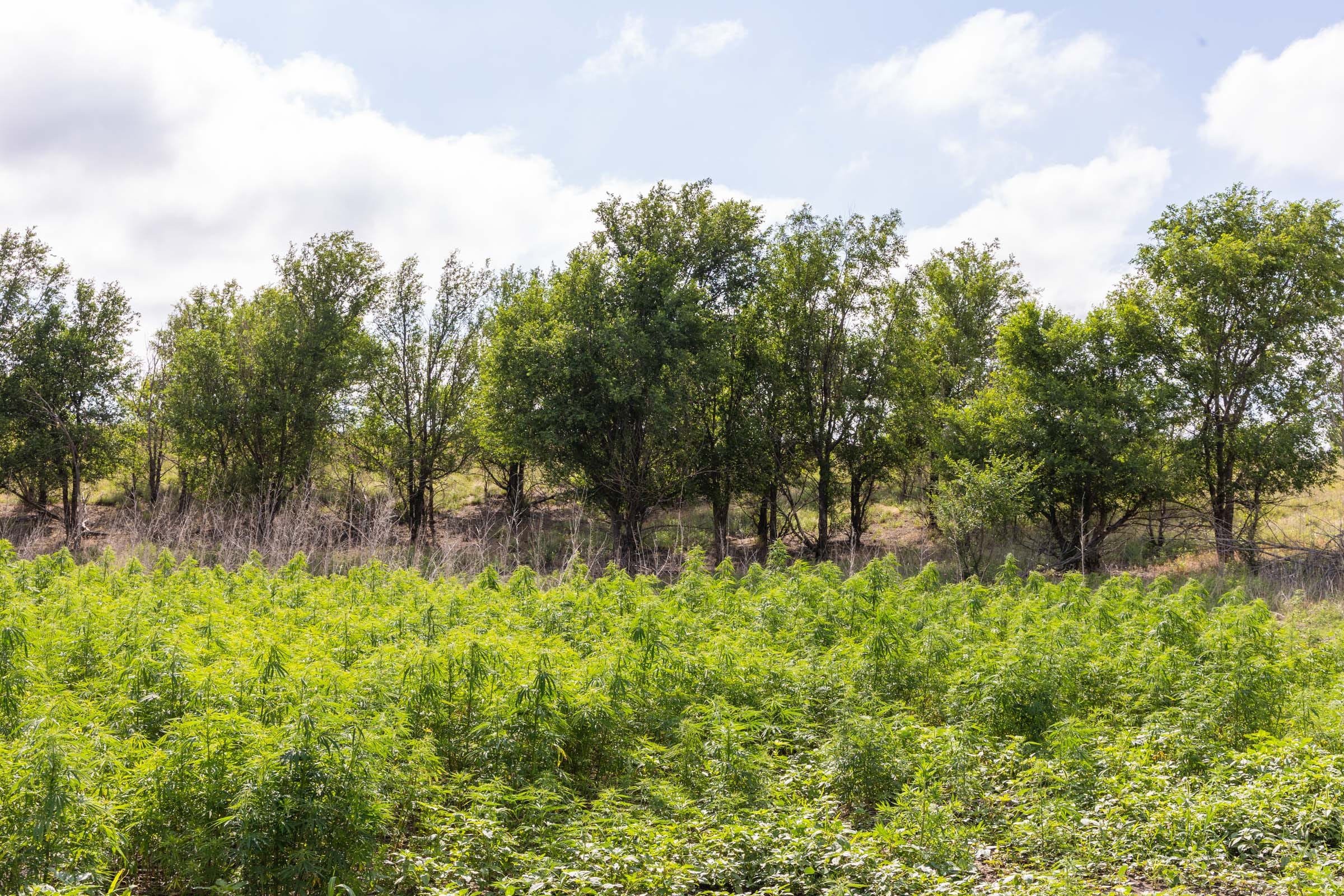 Crandall's Corner Tract 6 photo 5