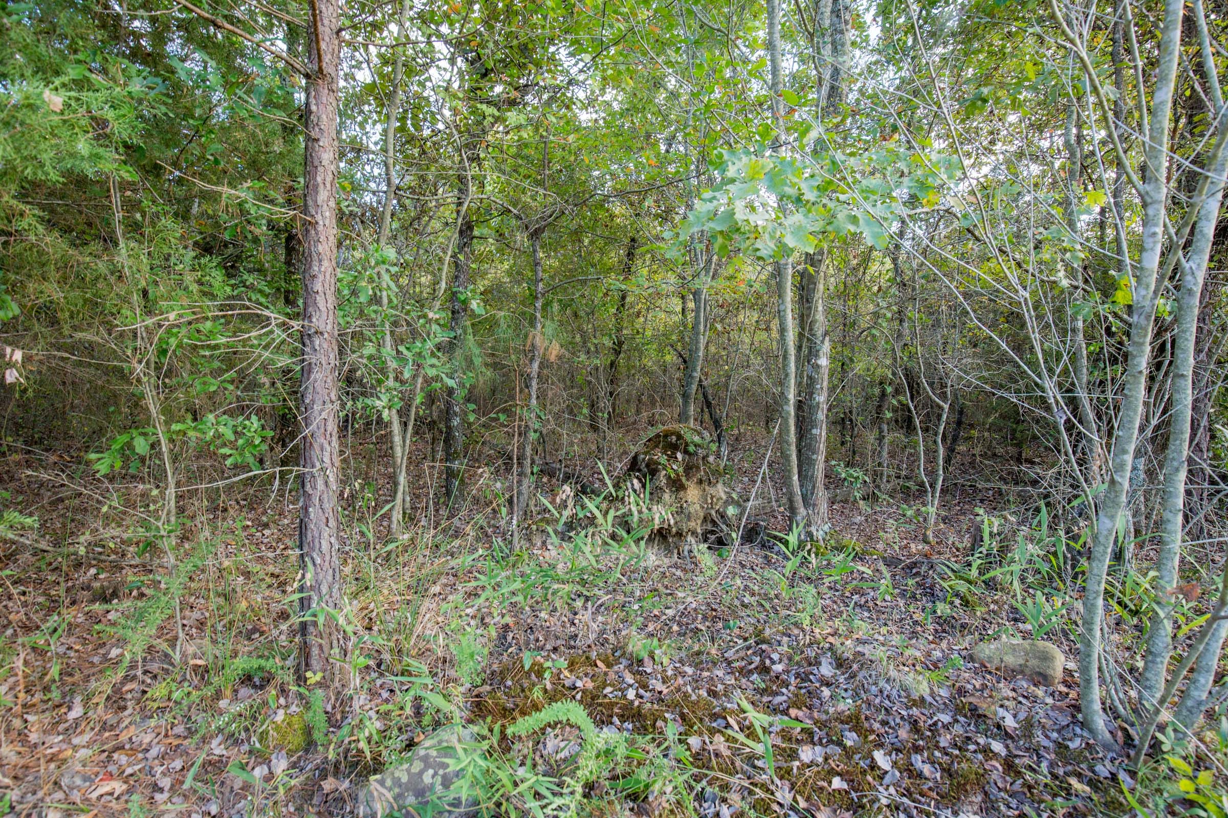 Stone Bridge Phase I Tract 42 photo 7