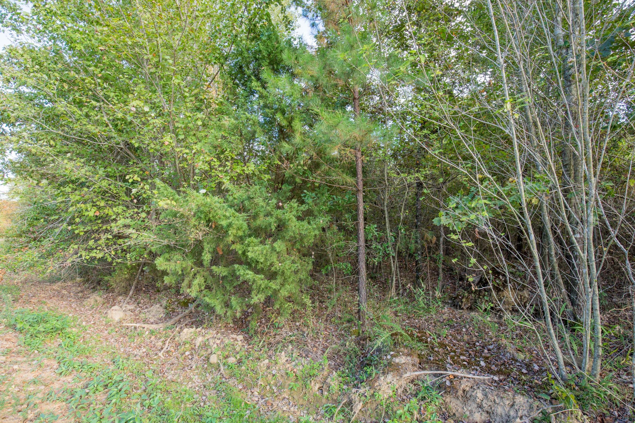 Stone Bridge Phase I Tract 42 photo 8