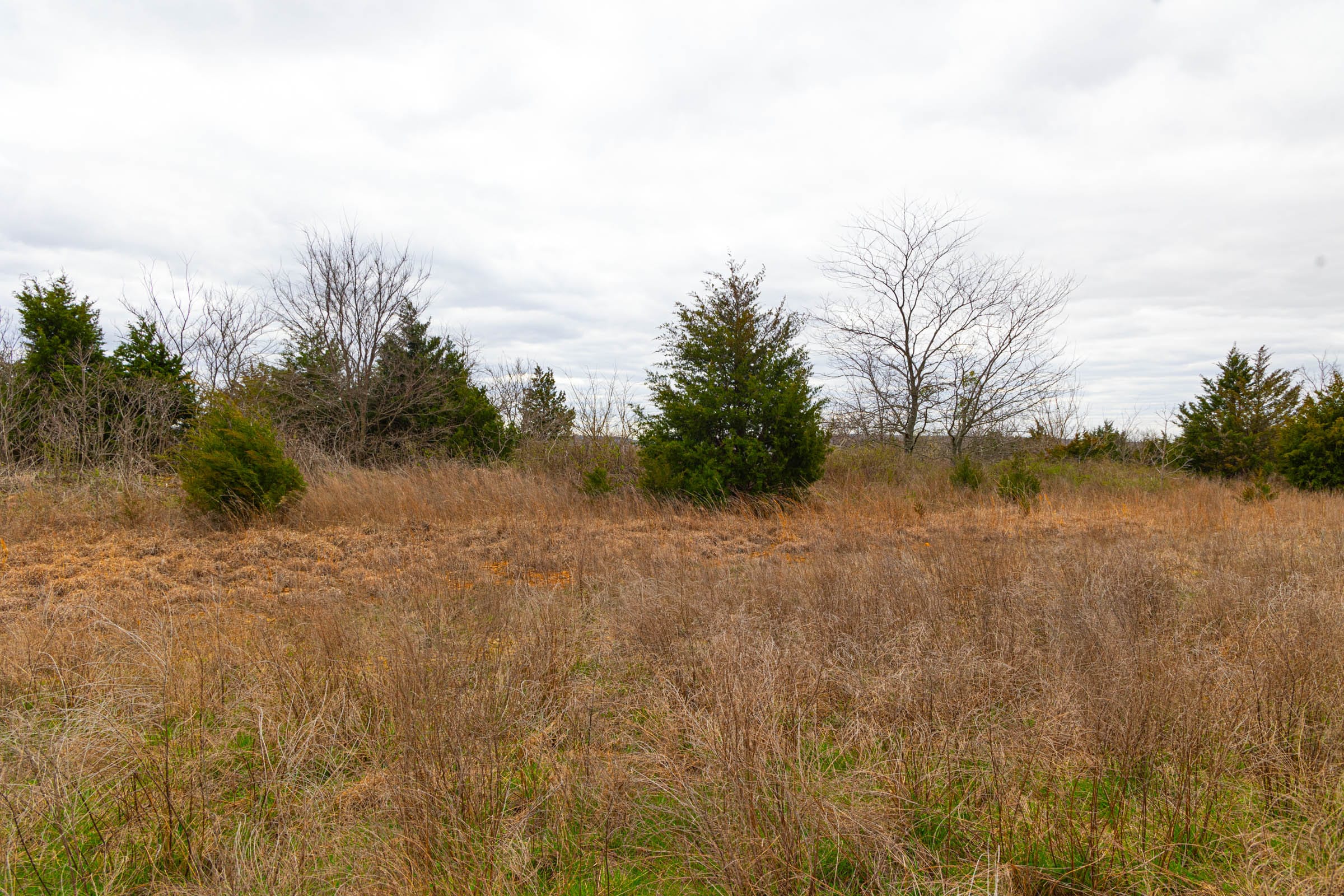 Reserves At Cattail Cove Phase I Tract 26 photo 16
