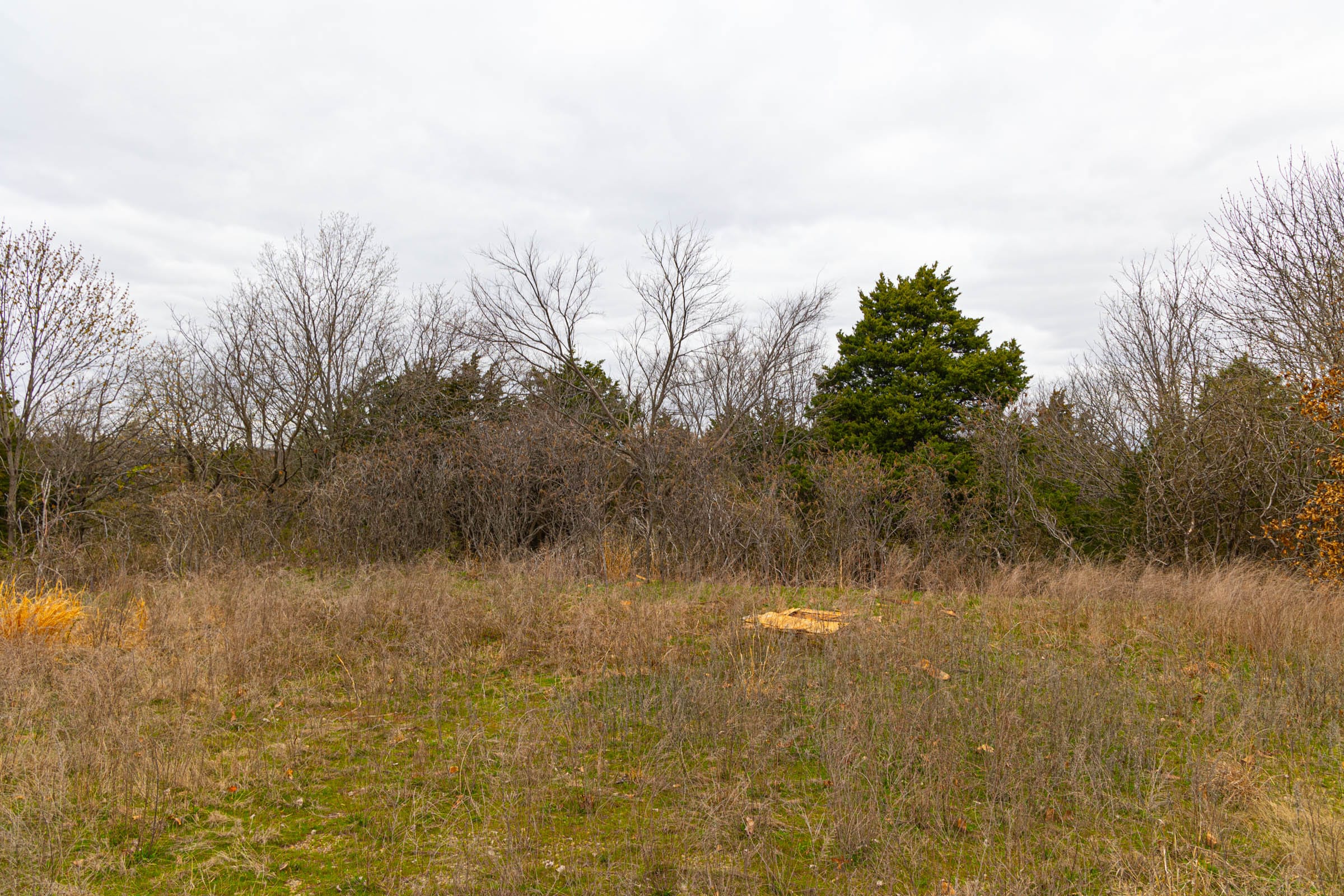 Reserves At Cattail Cove Phase I Tract 26 photo 15
